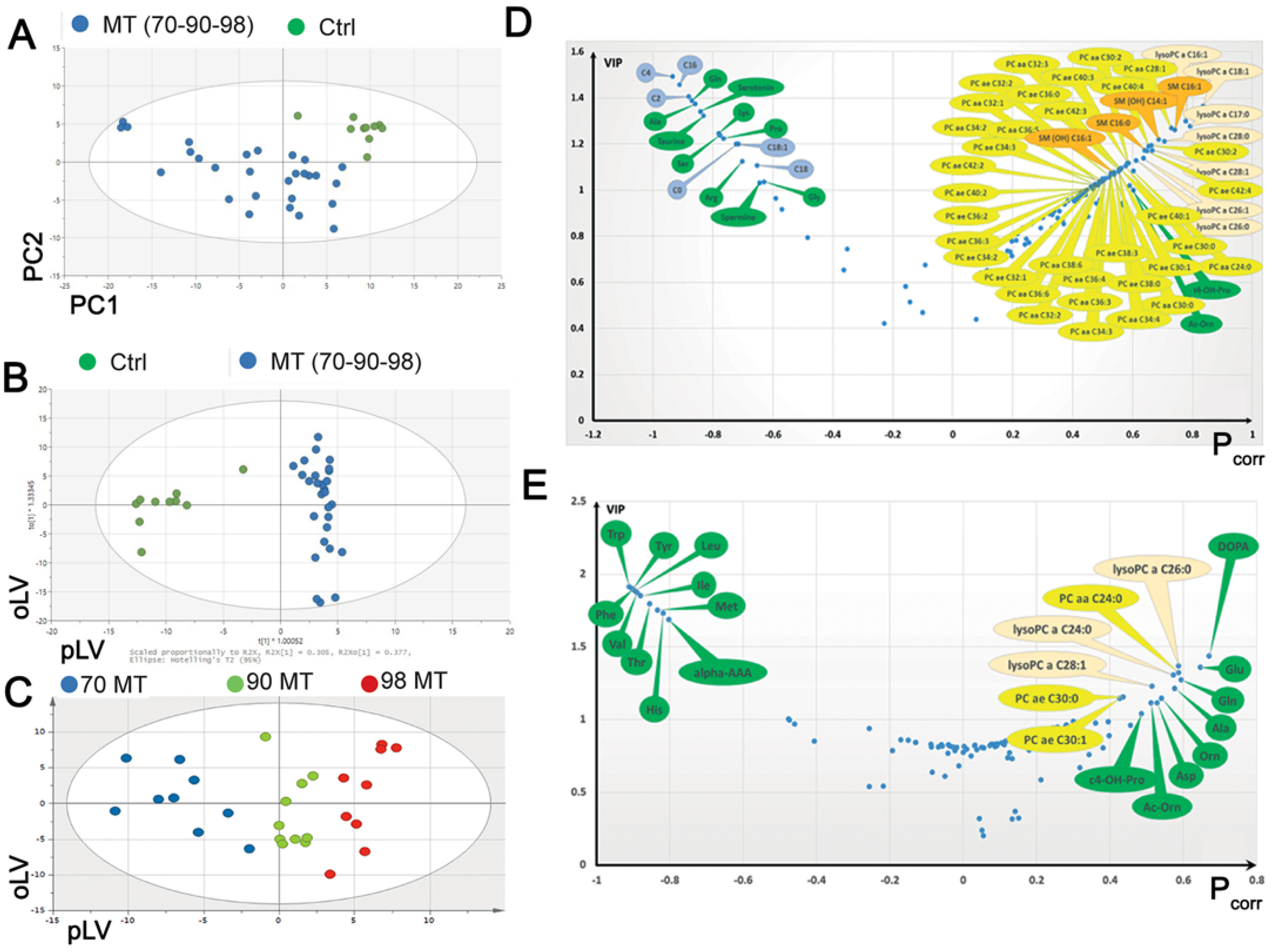 Biomedicines 10 01665 g001