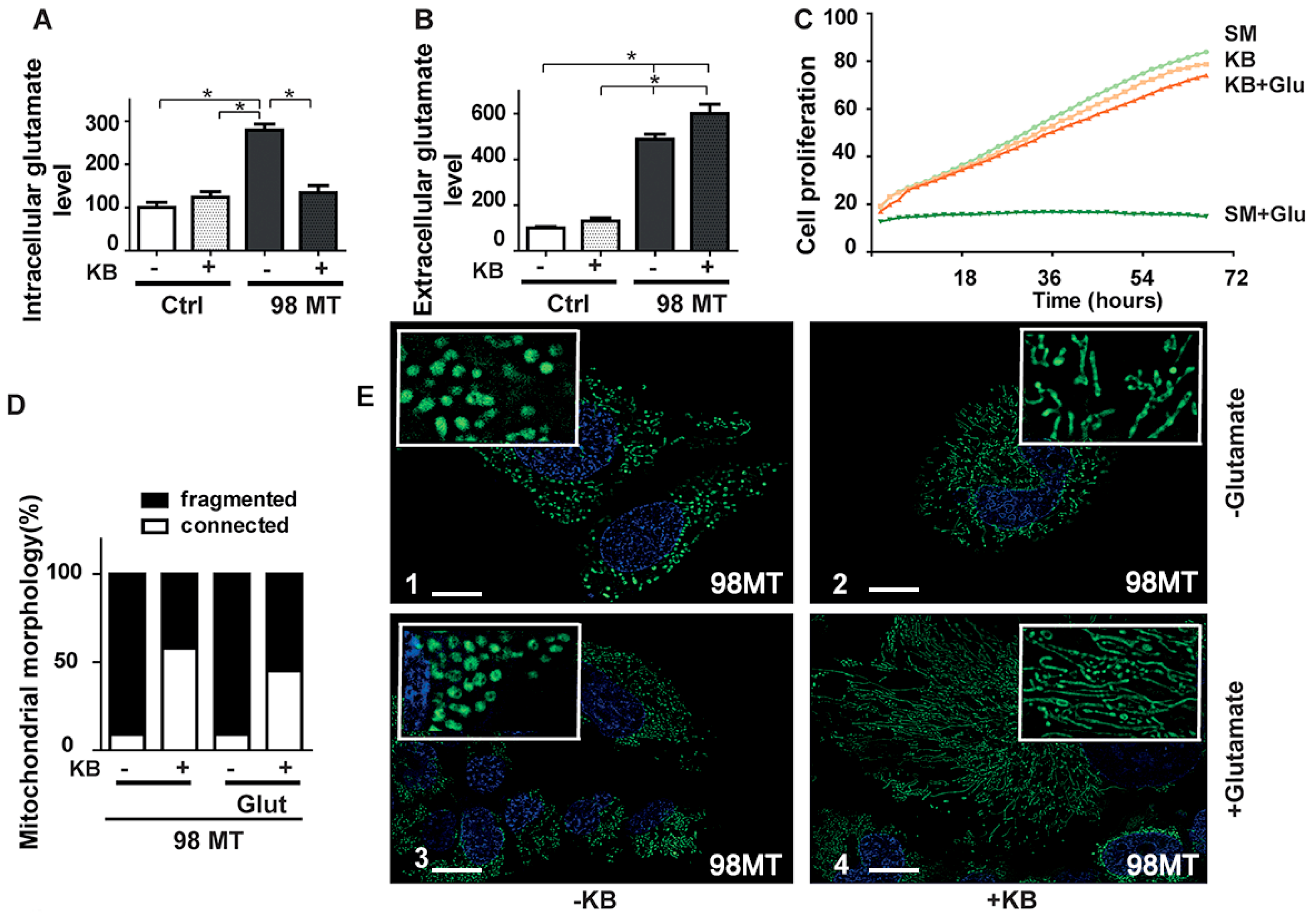 Biomedicines 10 01665 g004