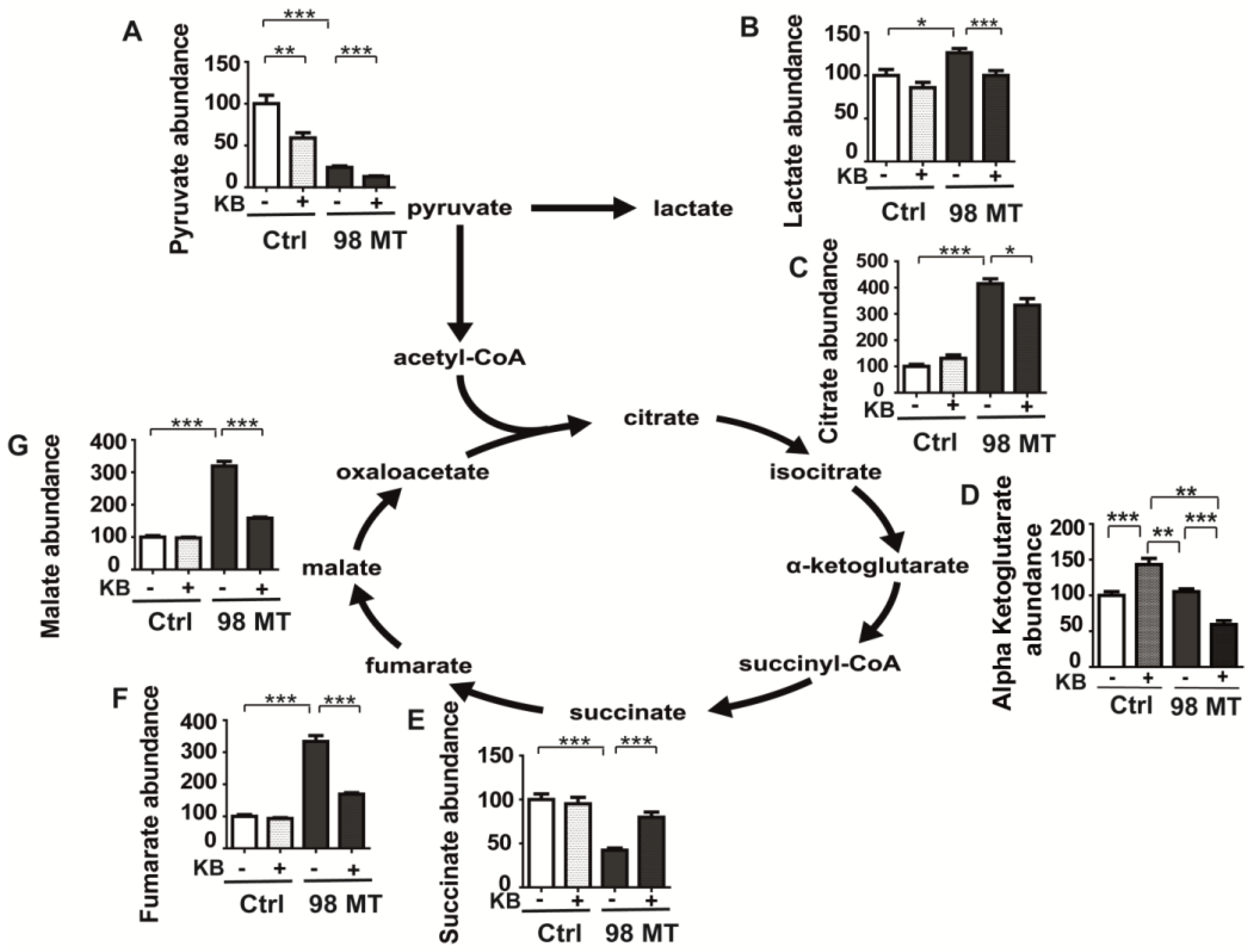 Biomedicines 10 01665 g007