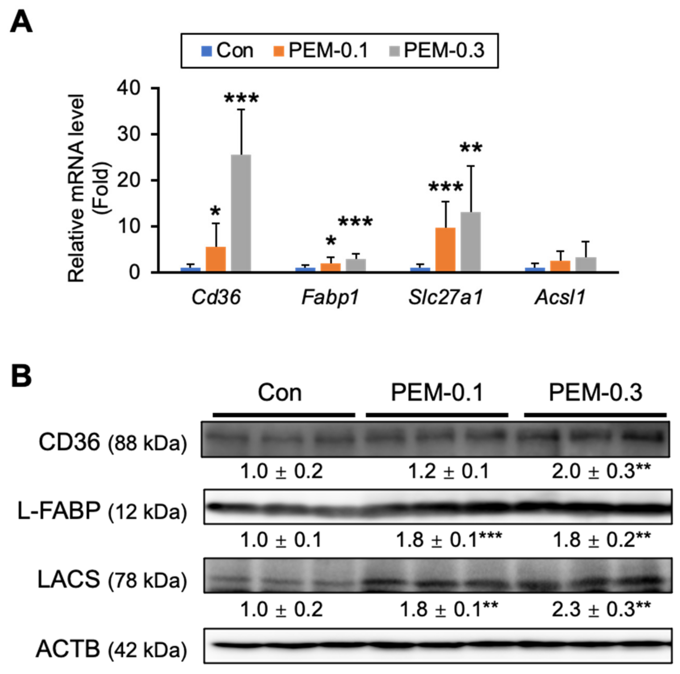 Biomedicines 10 01667 g003