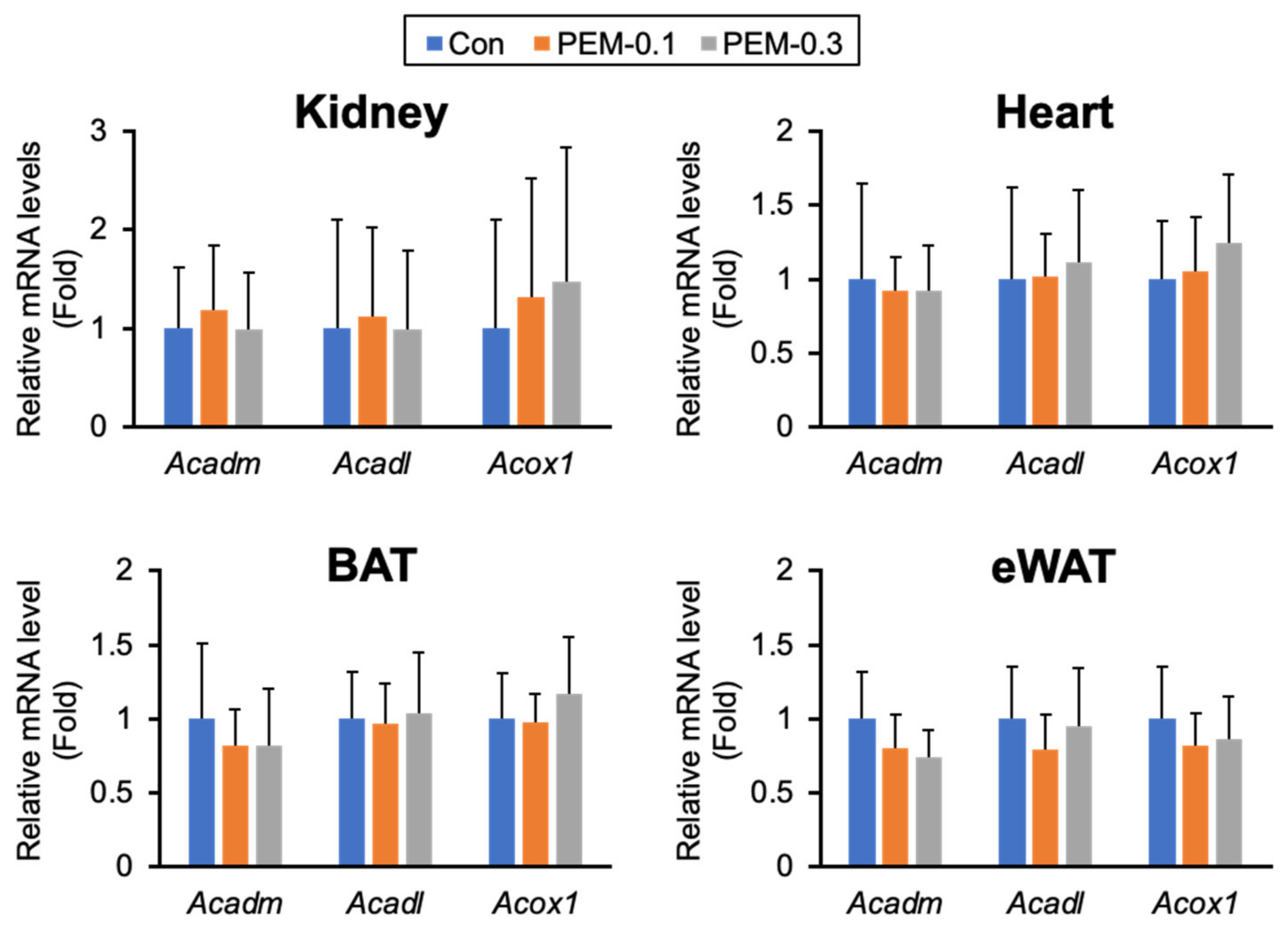 Biomedicines 10 01667 g007