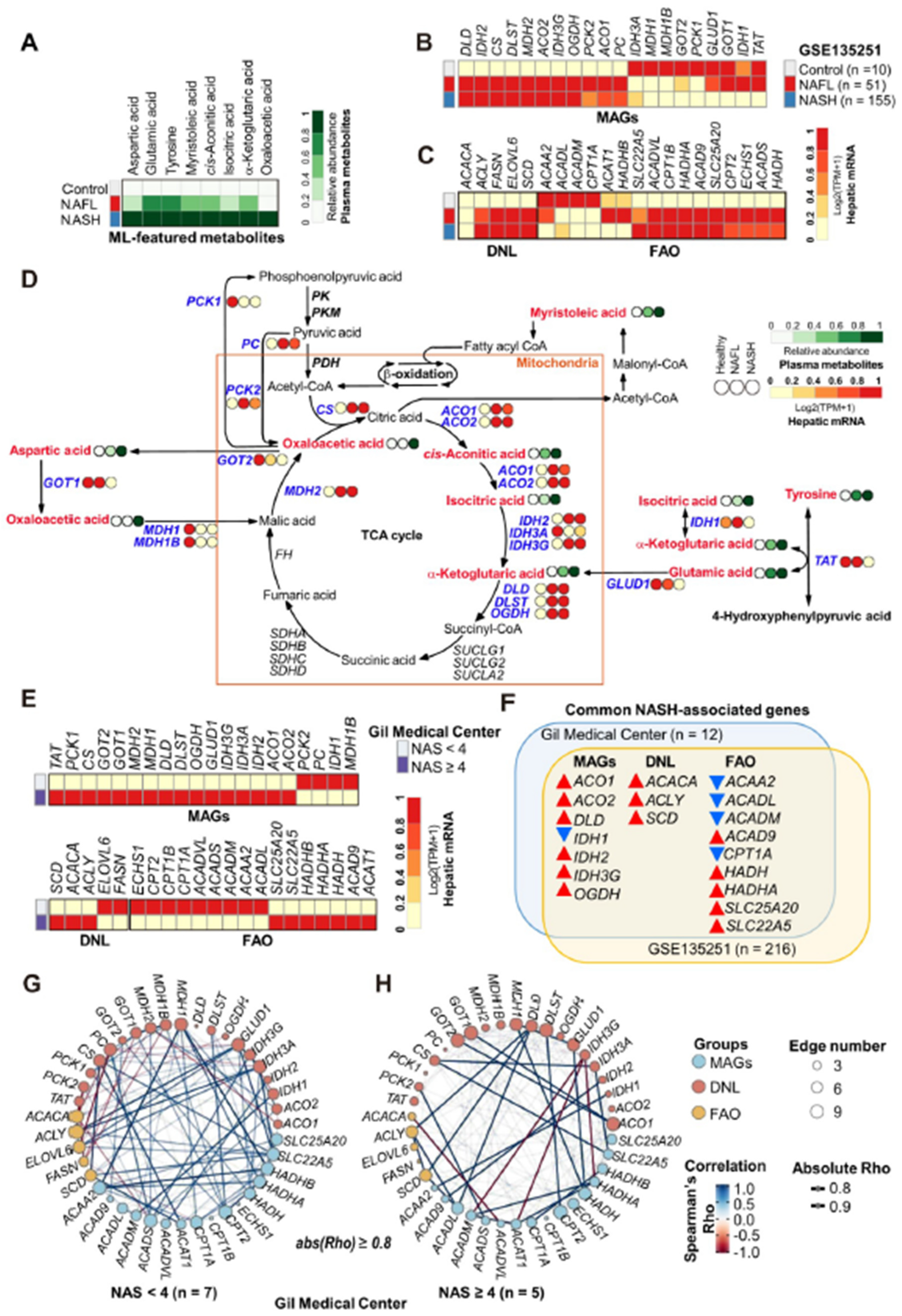 Biomedicines 10 01669 g007