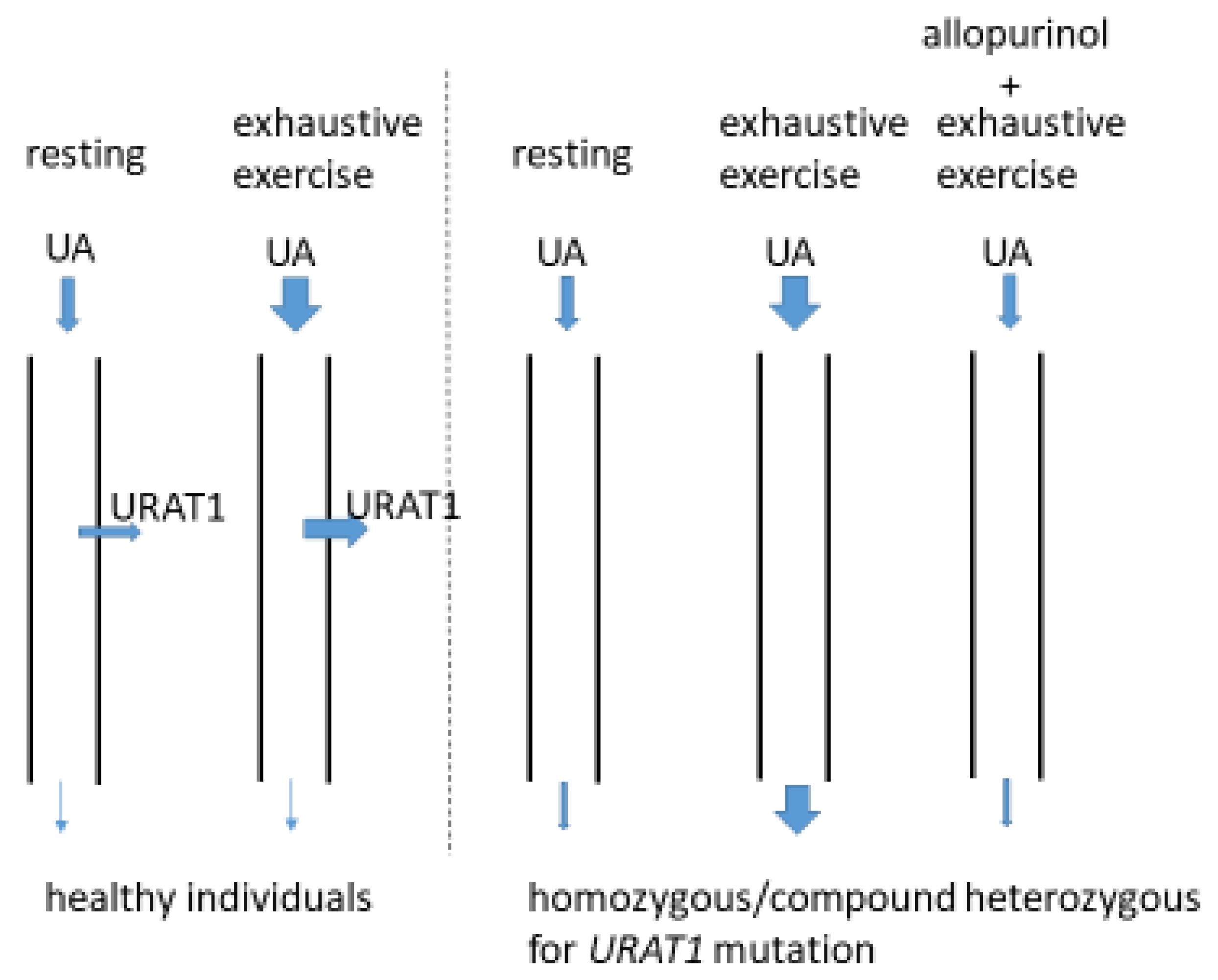 Biomedicines 10 01696 g003