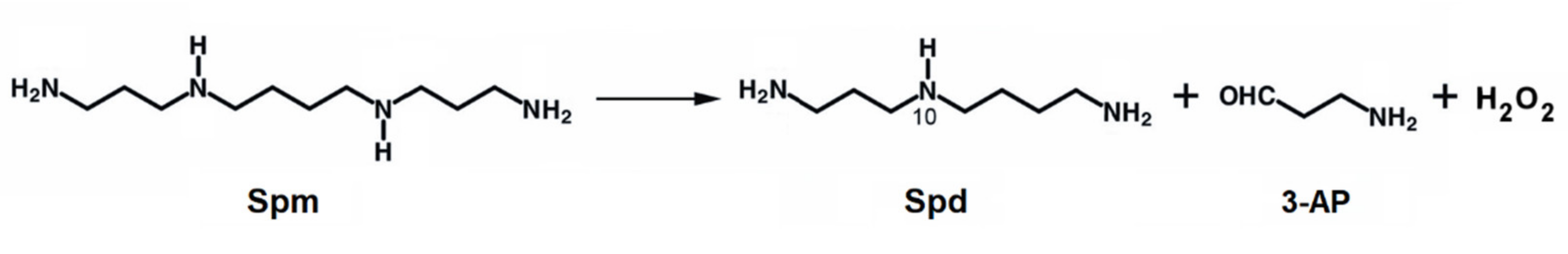 Biomedicines 10 01756 g002 Biomedicines 10 01756 g002