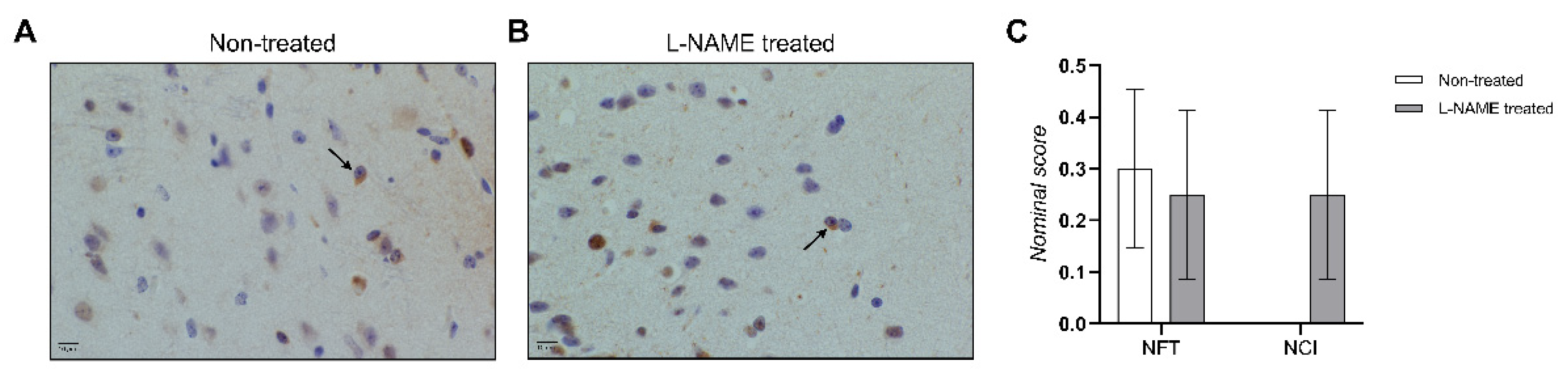 Biomedicines 10 01772 g004 Biomedicines 10 01772 g004