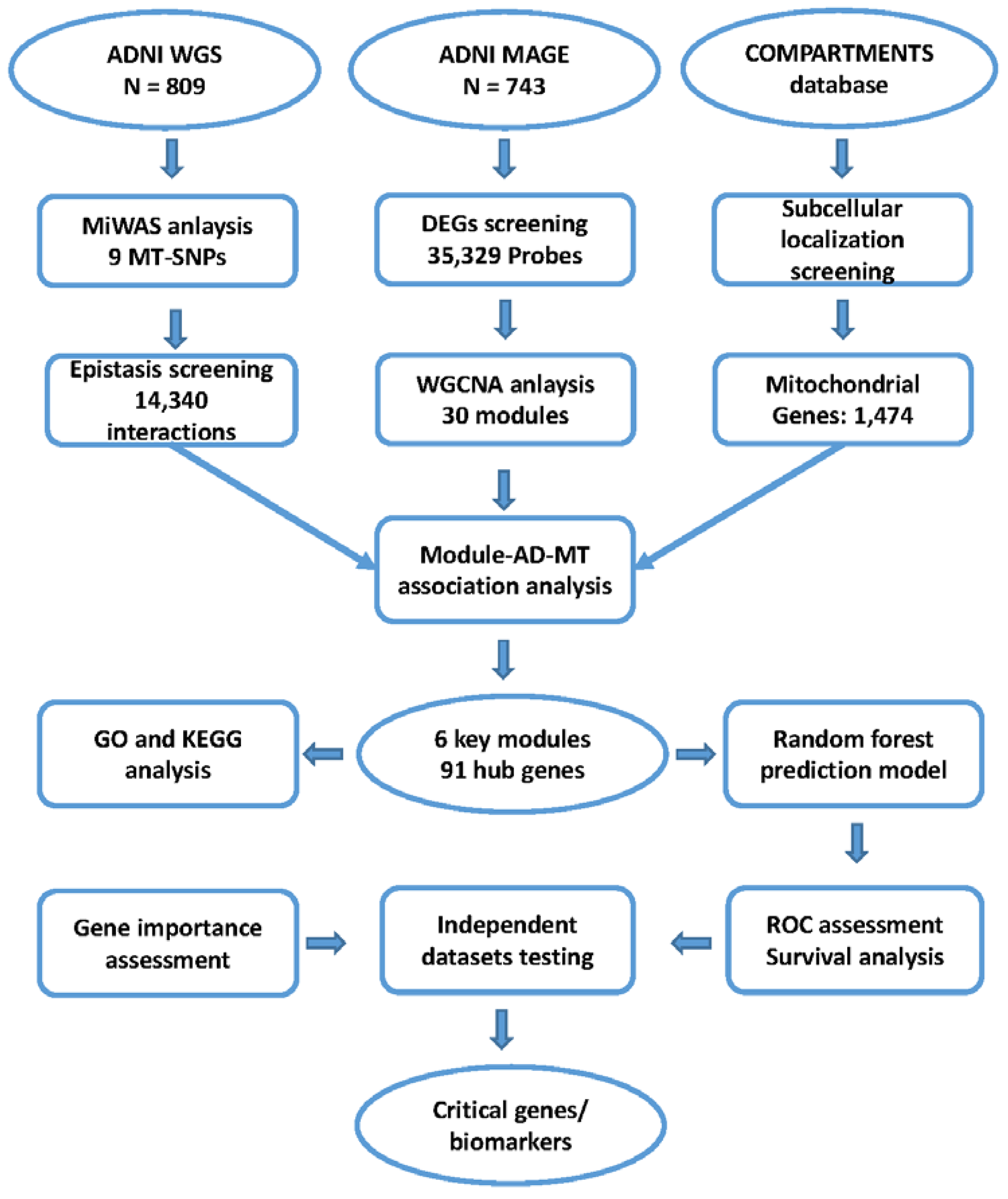 Biomedicines 10 01782 g001