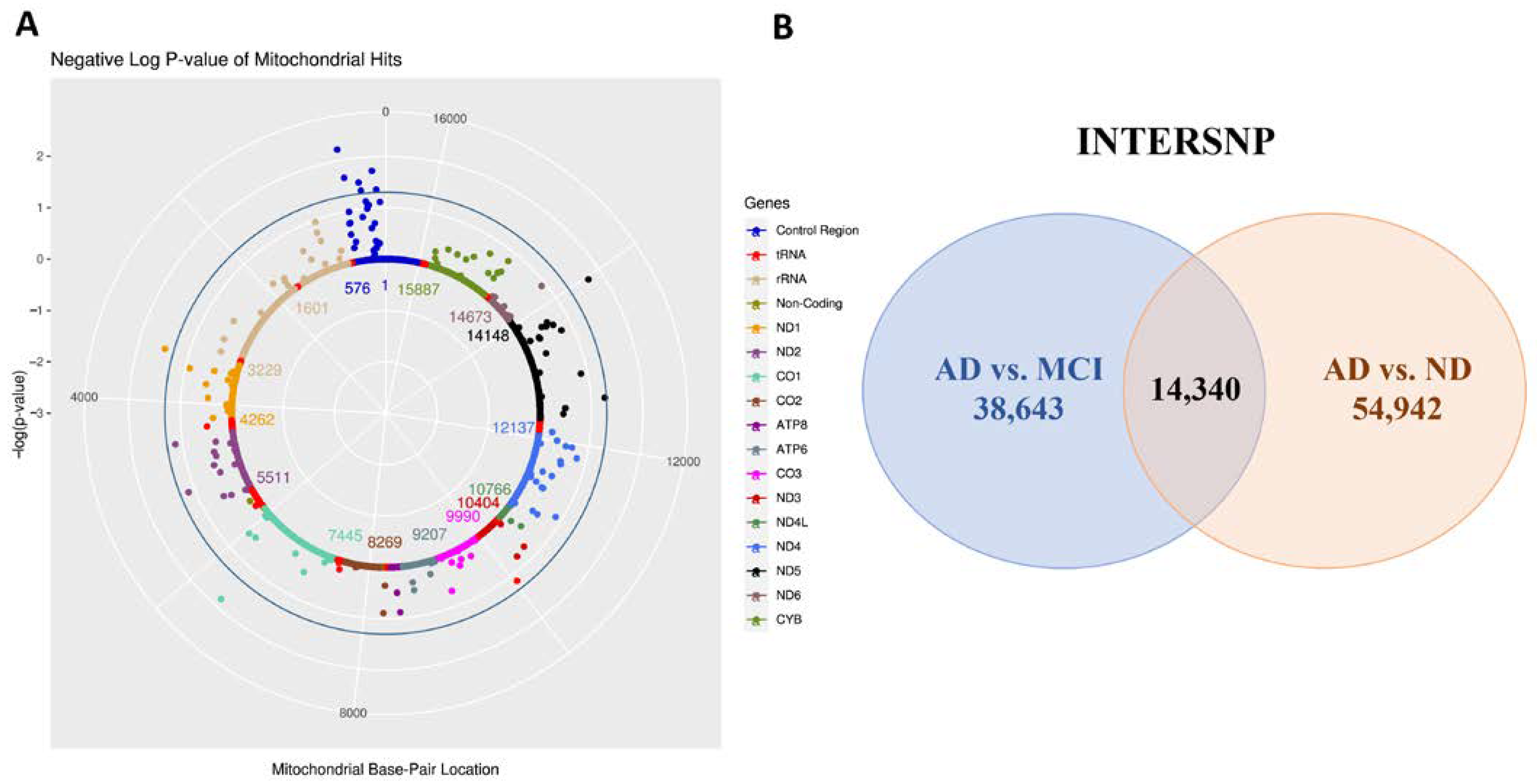 Biomedicines 10 01782 g002