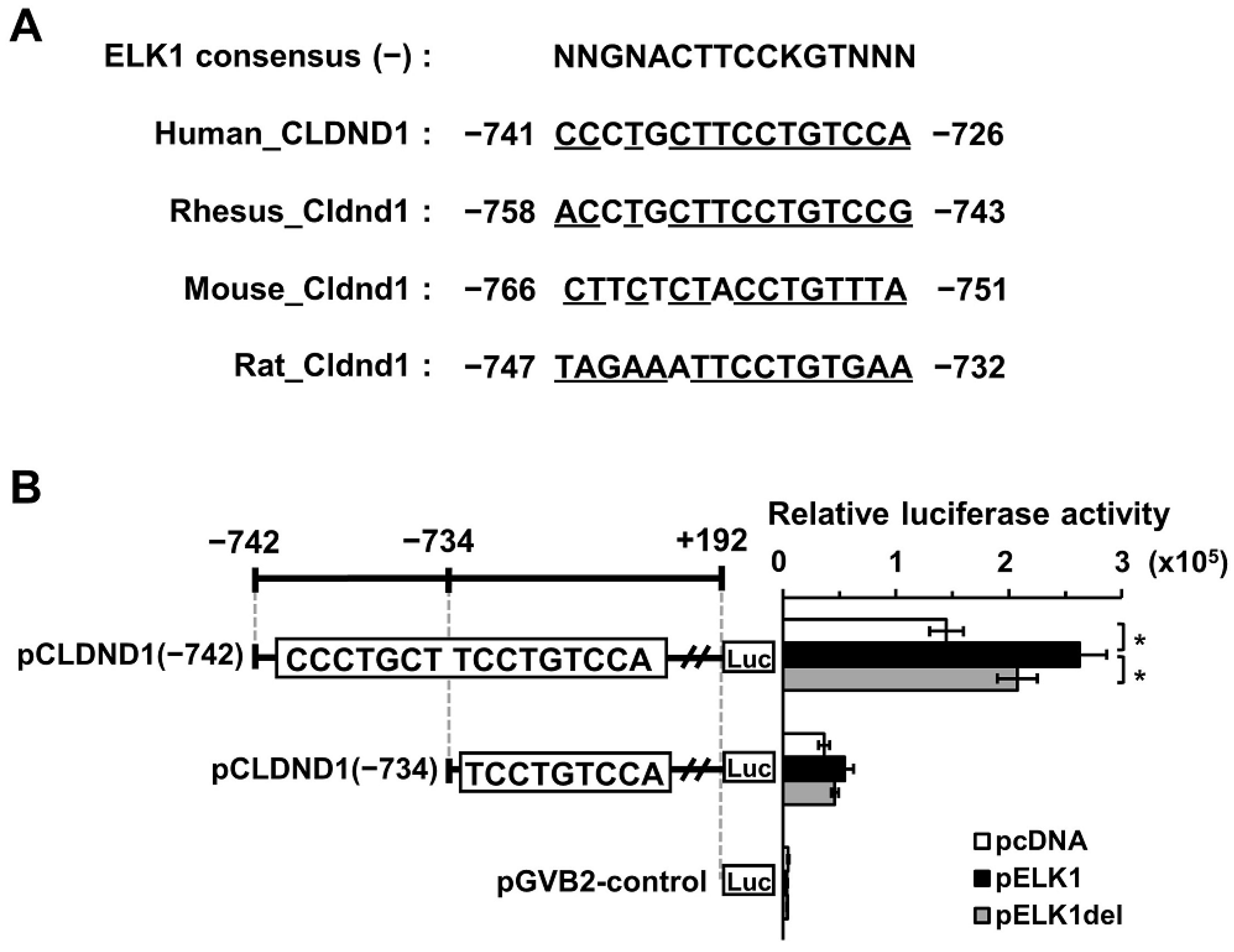 Biomedicines 10 01792 g001 Biomedicines 10 01792 g001