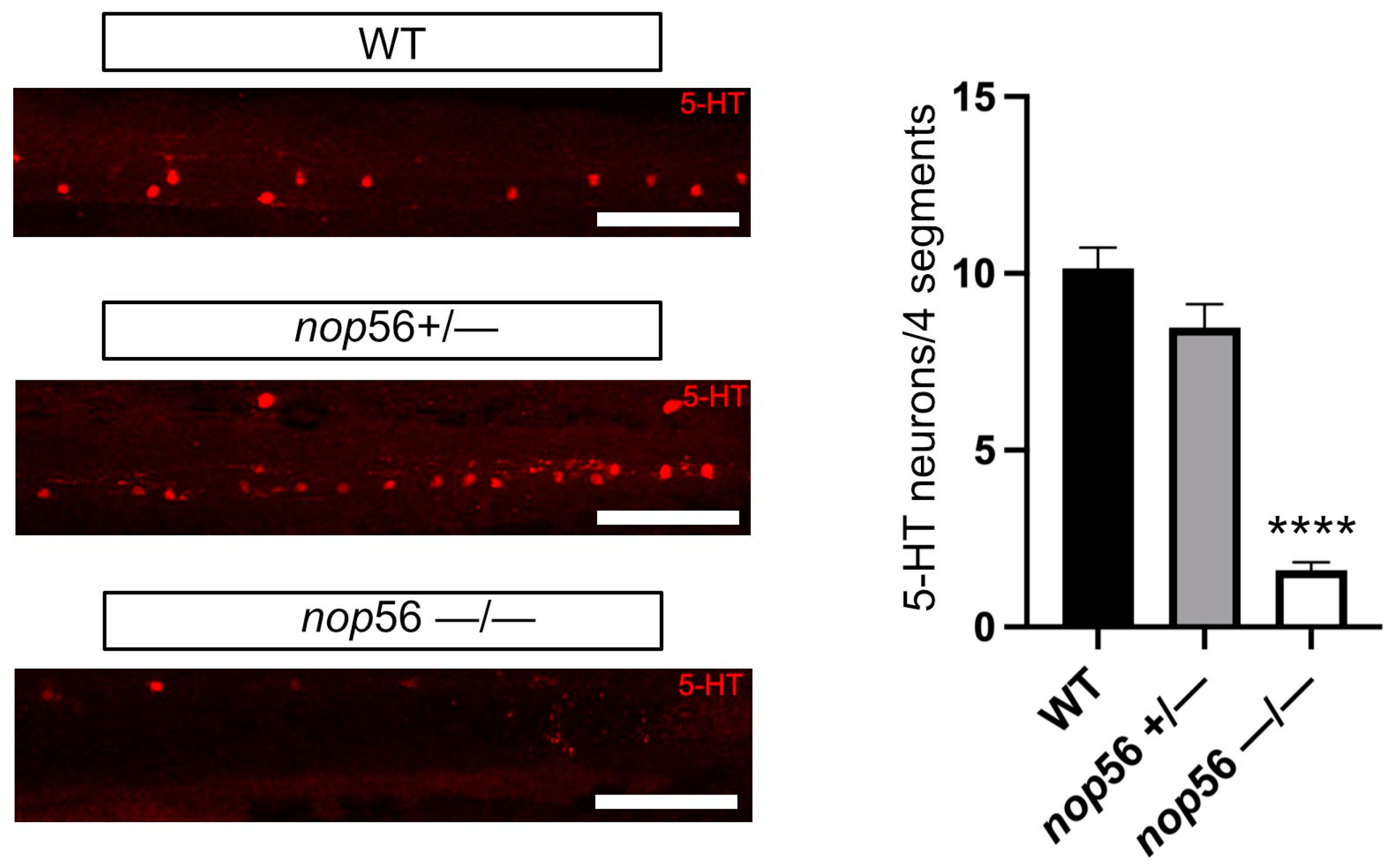 Biomedicines 10 01814 g007 Biomedicines 10 01814 g007