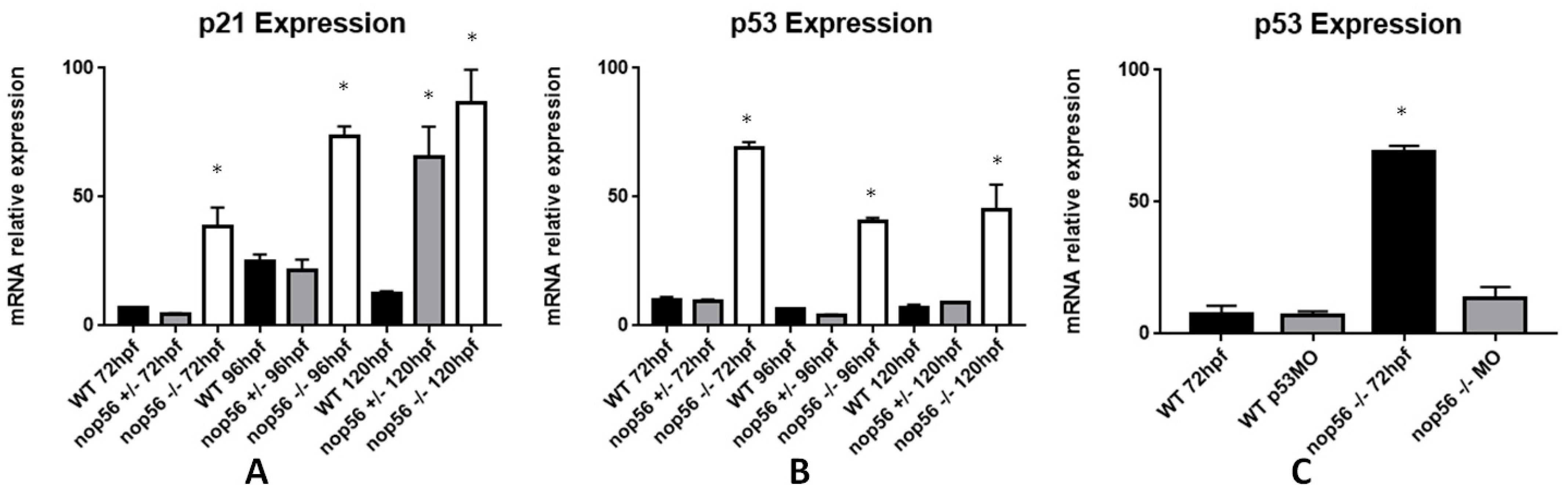 Biomedicines 10 01814 g009 Biomedicines 10 01814 g009