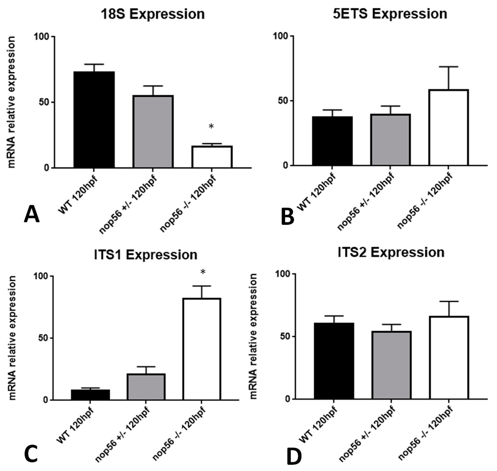 Biomedicines 10 01814 g013 Biomedicines 10 01814 g013