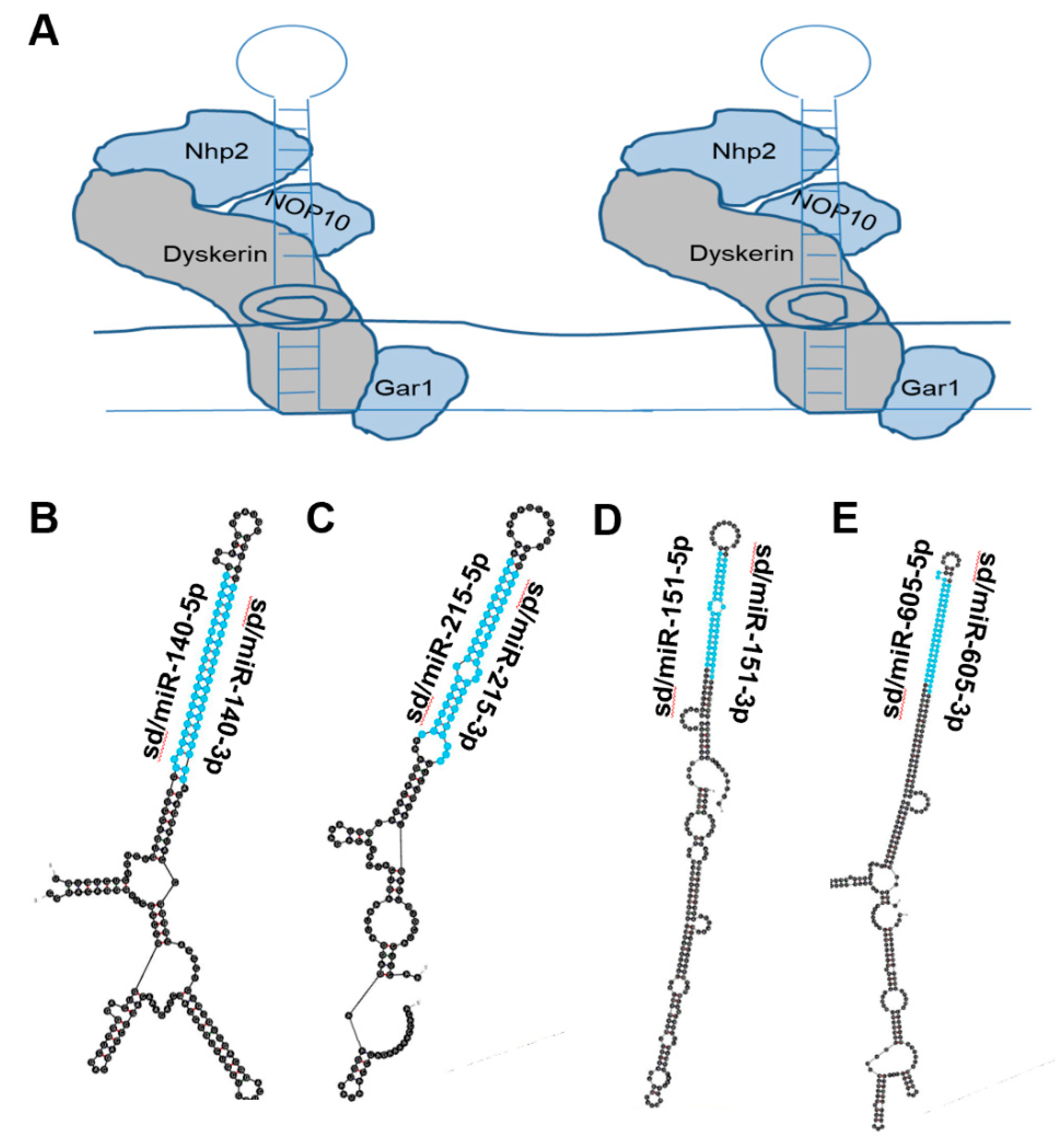 Biomedicines 10 01819 g003