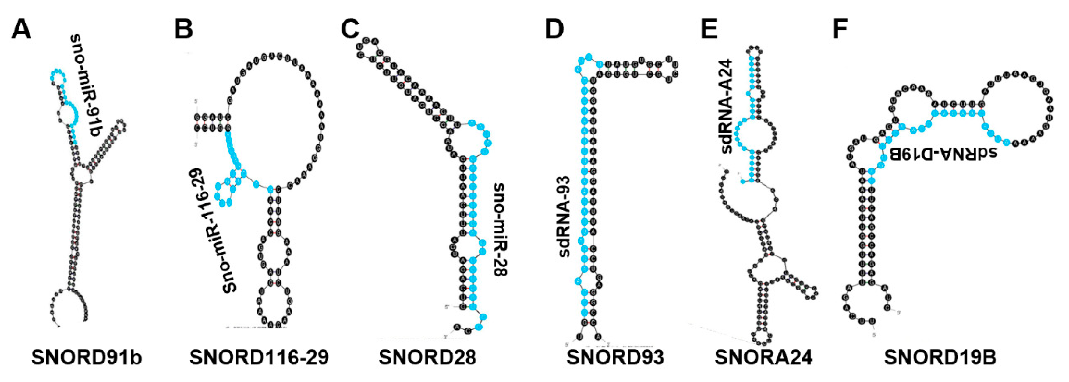 Biomedicines 10 01819 g005