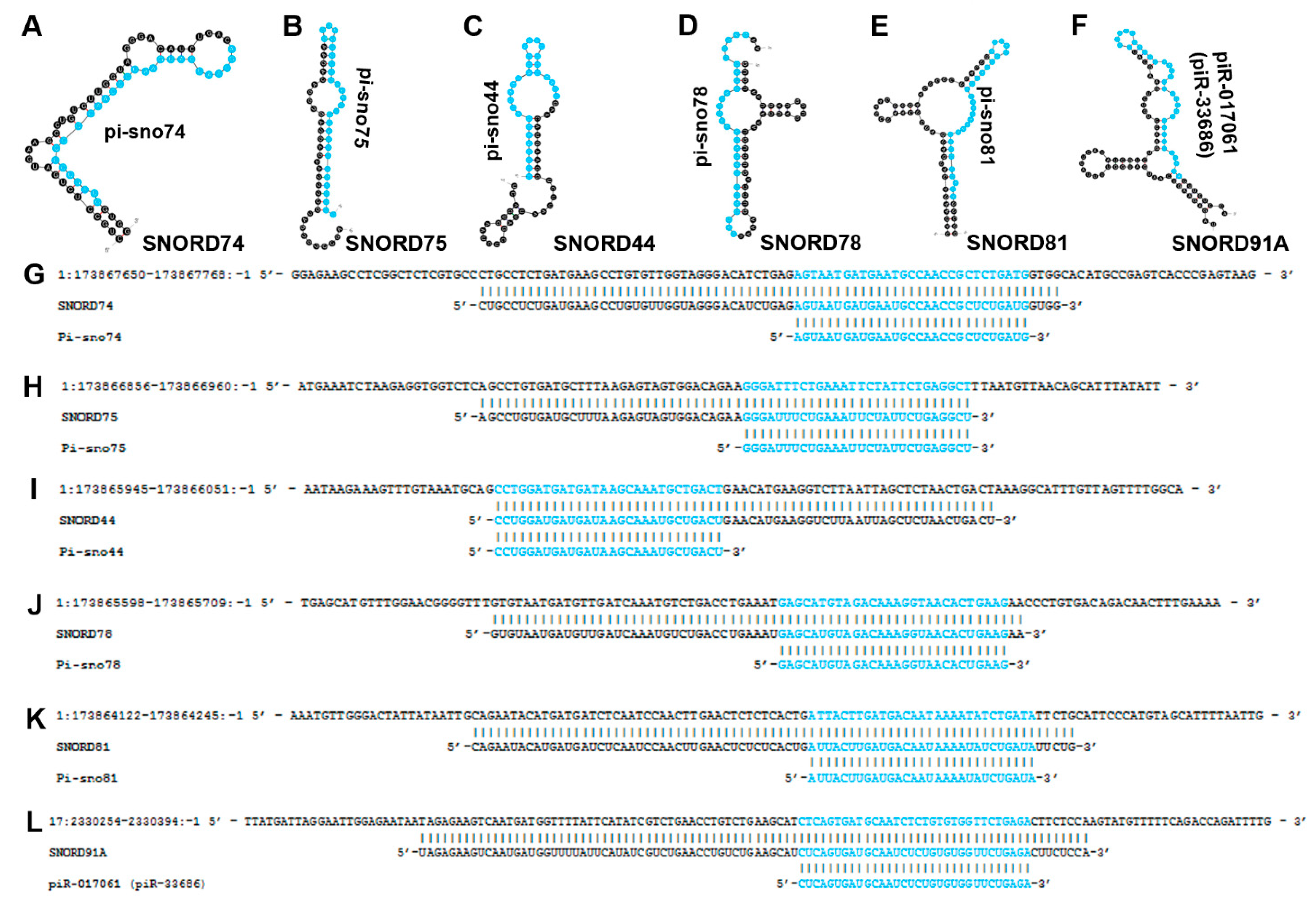 Biomedicines 10 01819 g006