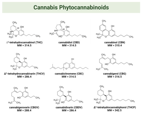 THCP - The Future of Cannabinoid Applications?