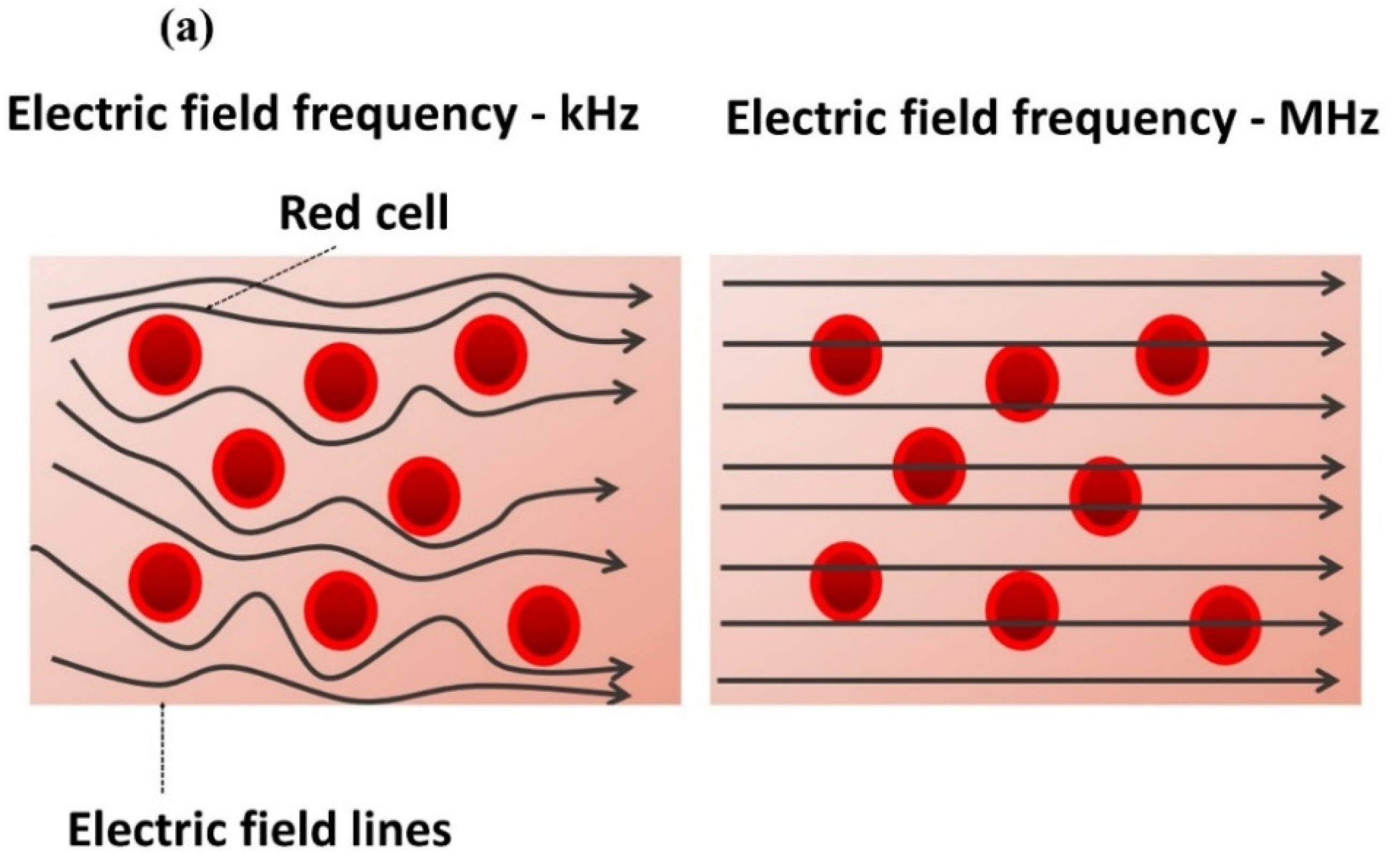 Biomedicines 10 01833 g004a
