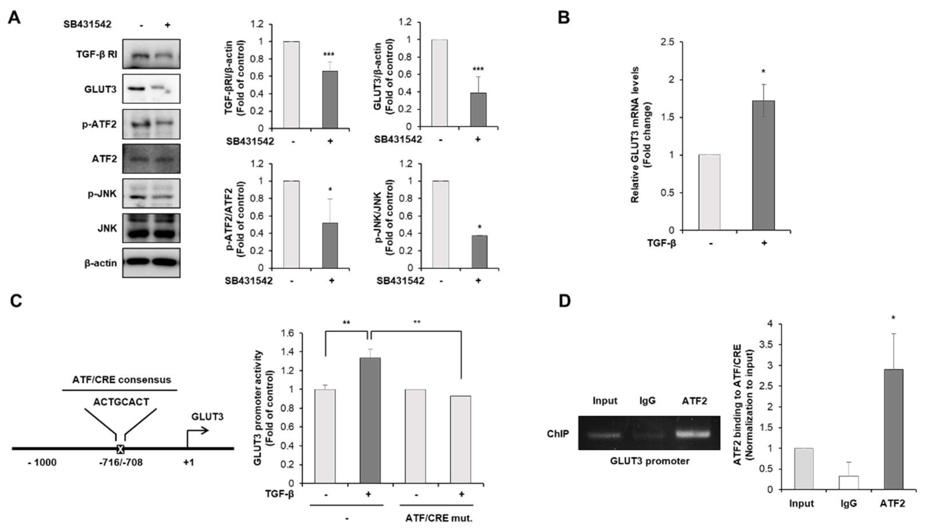 Biomedicines 10 01837 g005