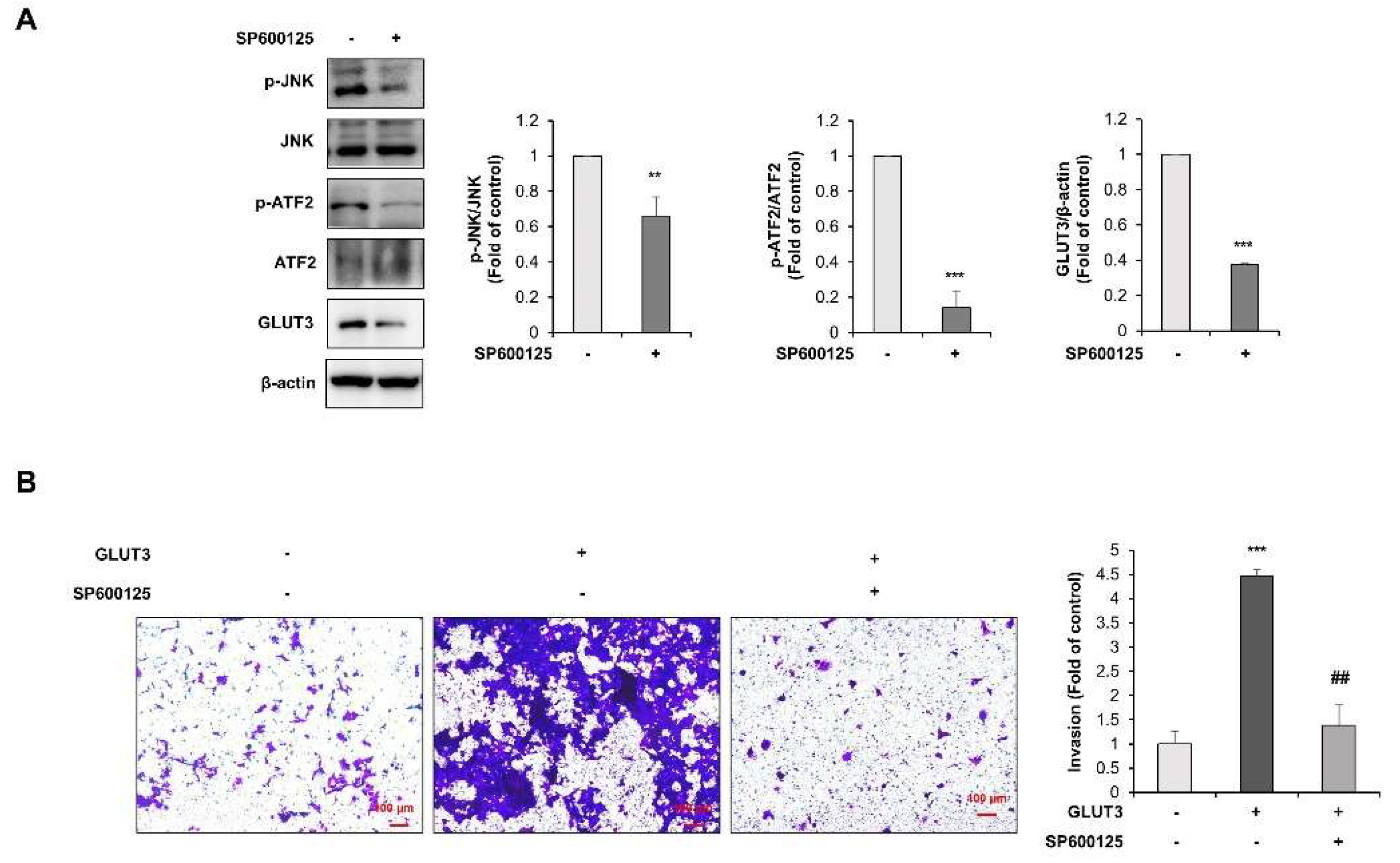 Biomedicines 10 01837 g006