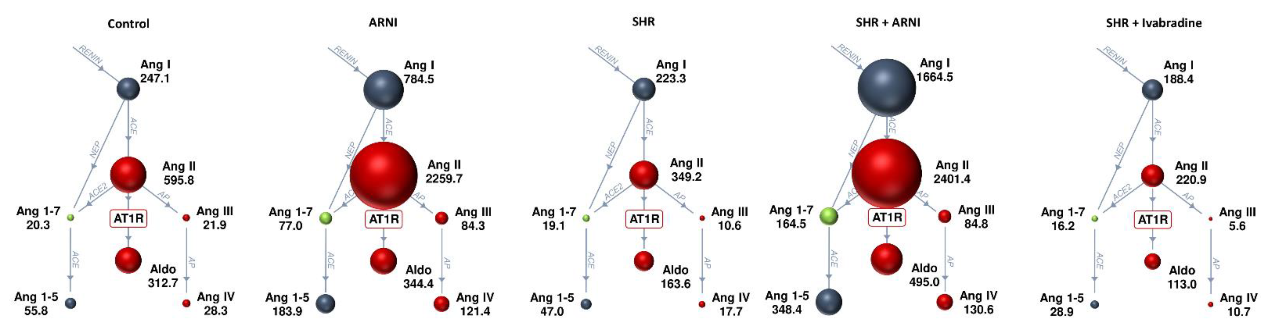 Biomedicines 10 01844 g003