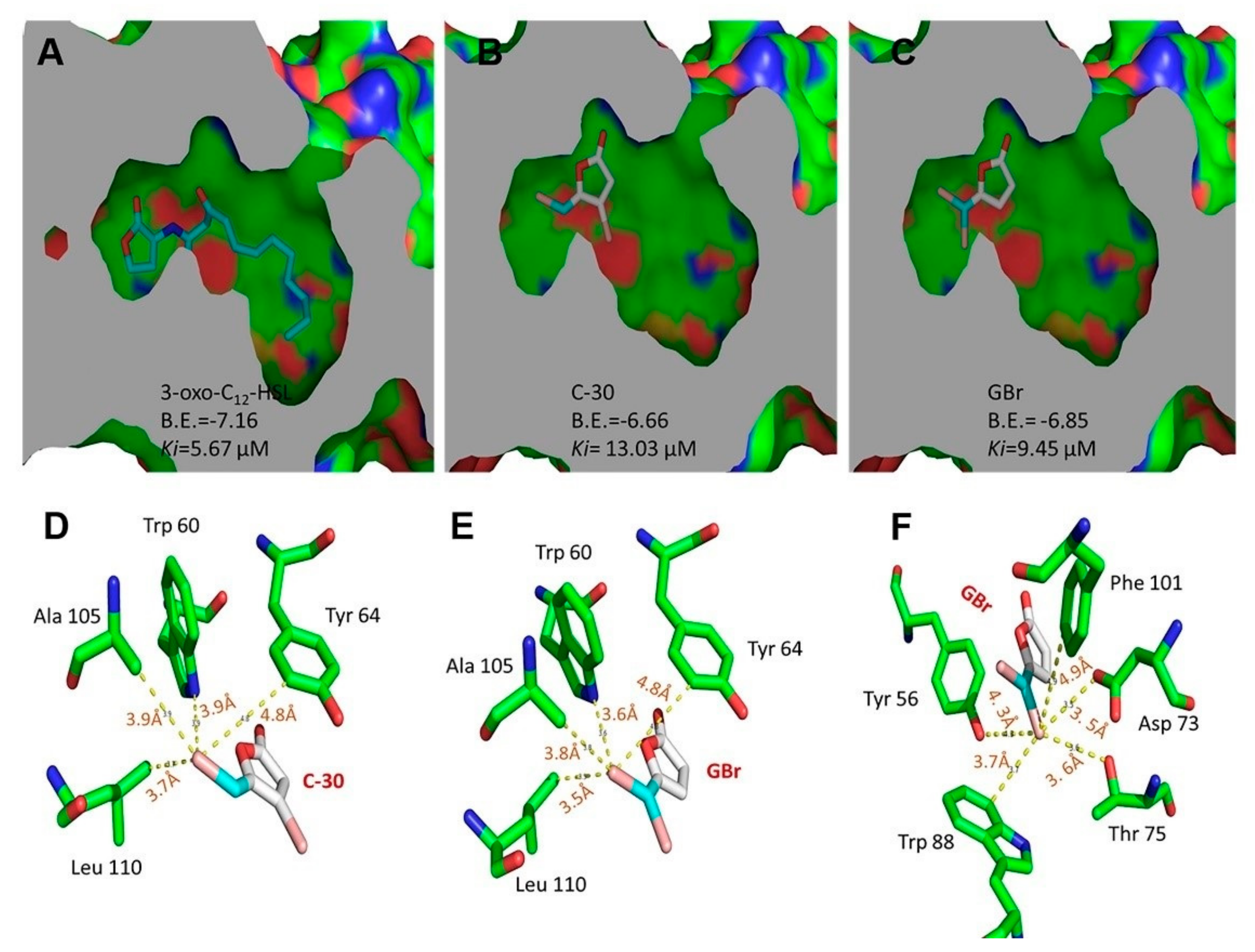 Biomedicines 10 01847 g005