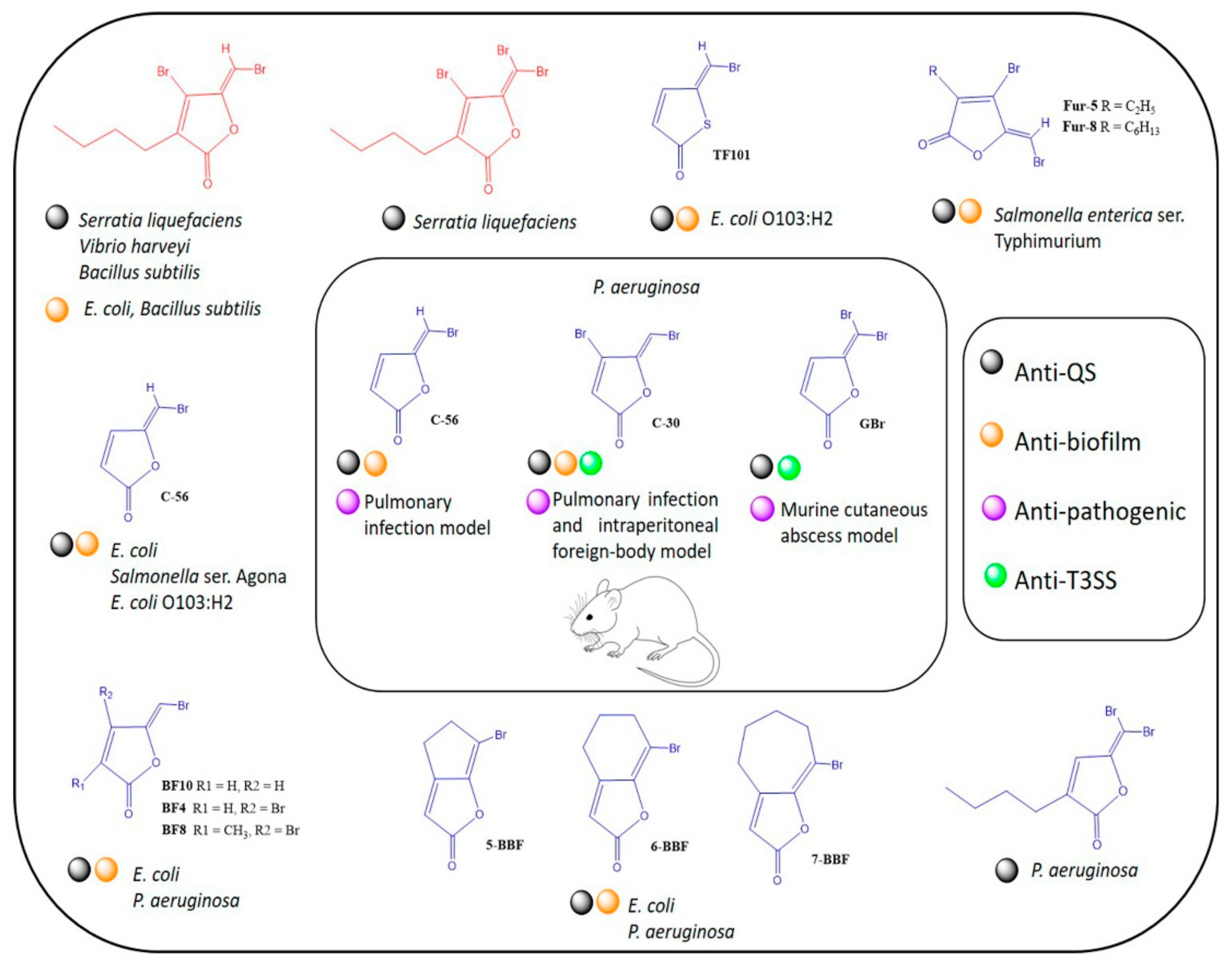 Biomedicines 10 01847 g006