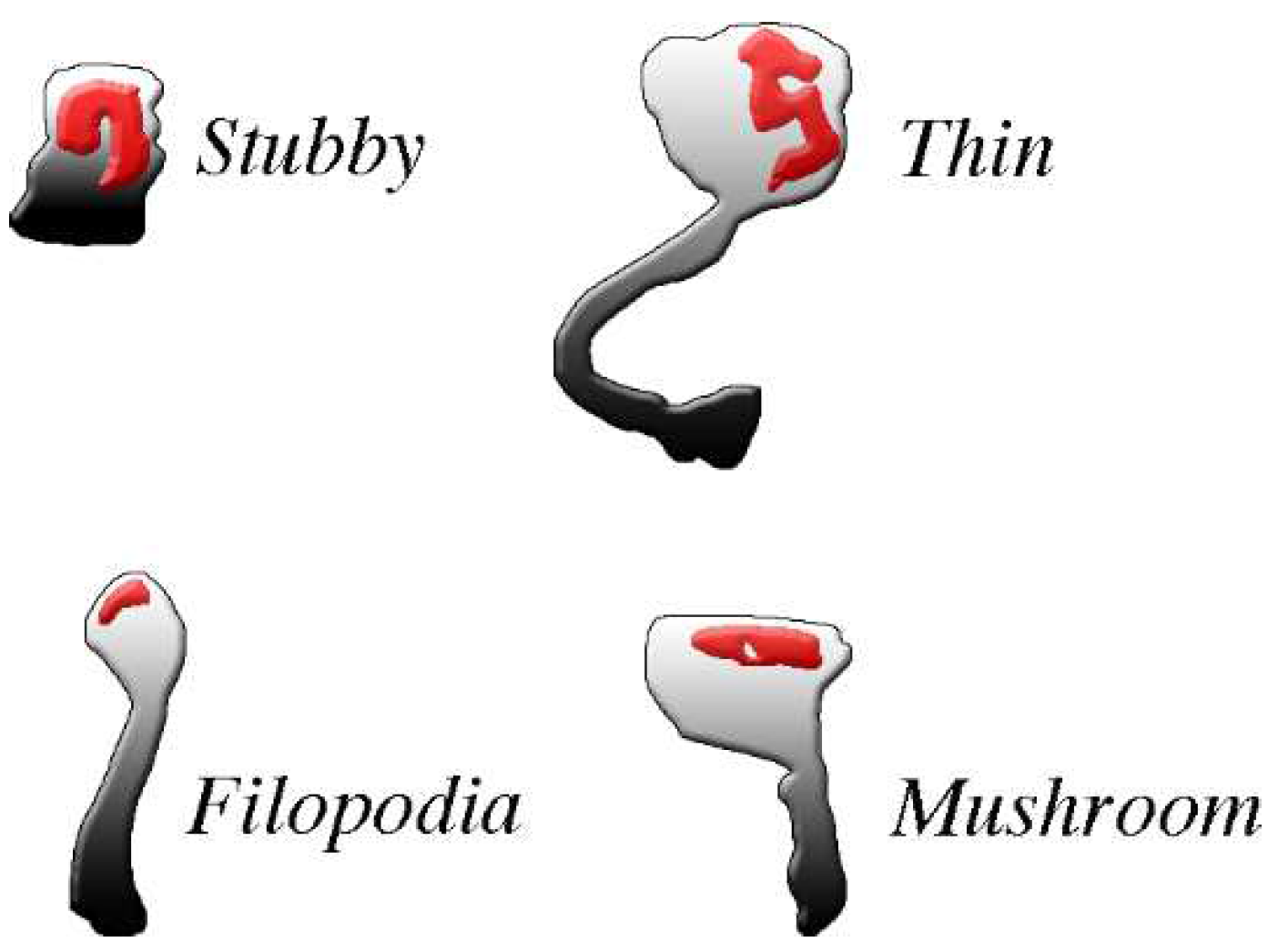 Biomedicines 10 01859 g002