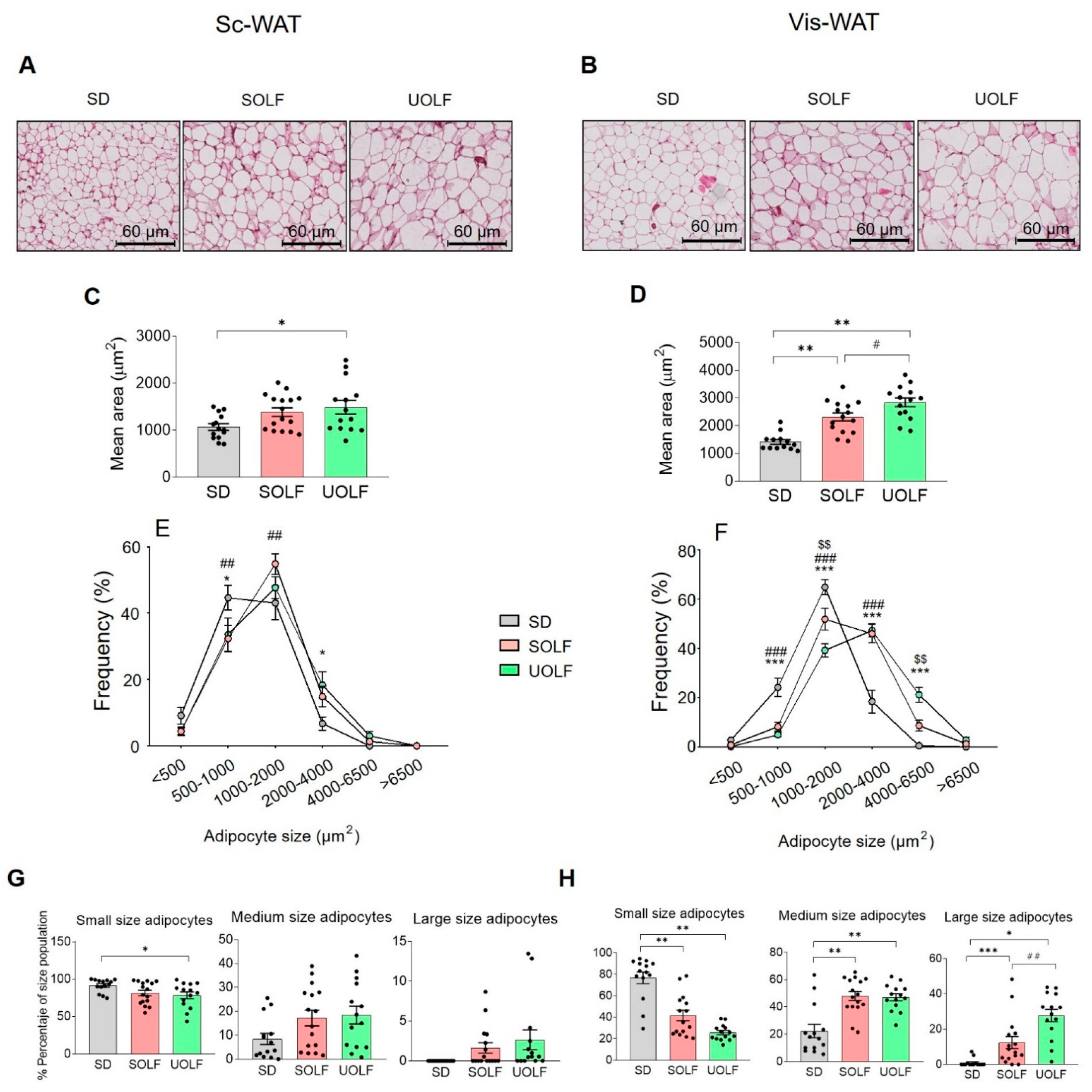Biomedicines 10 01864 g002 Biomedicines 10 01864 g002