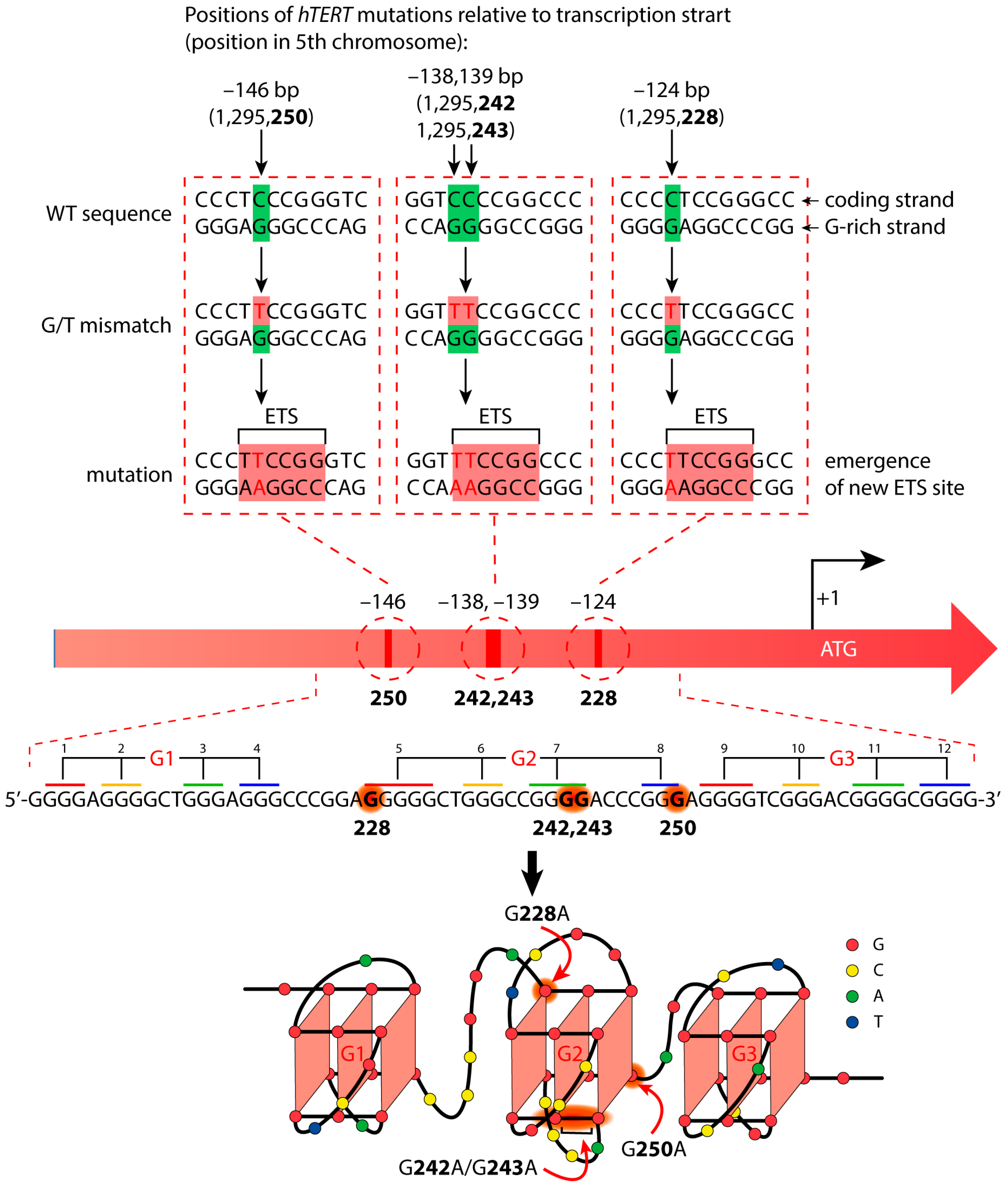 Biomedicines 10 01871 g001