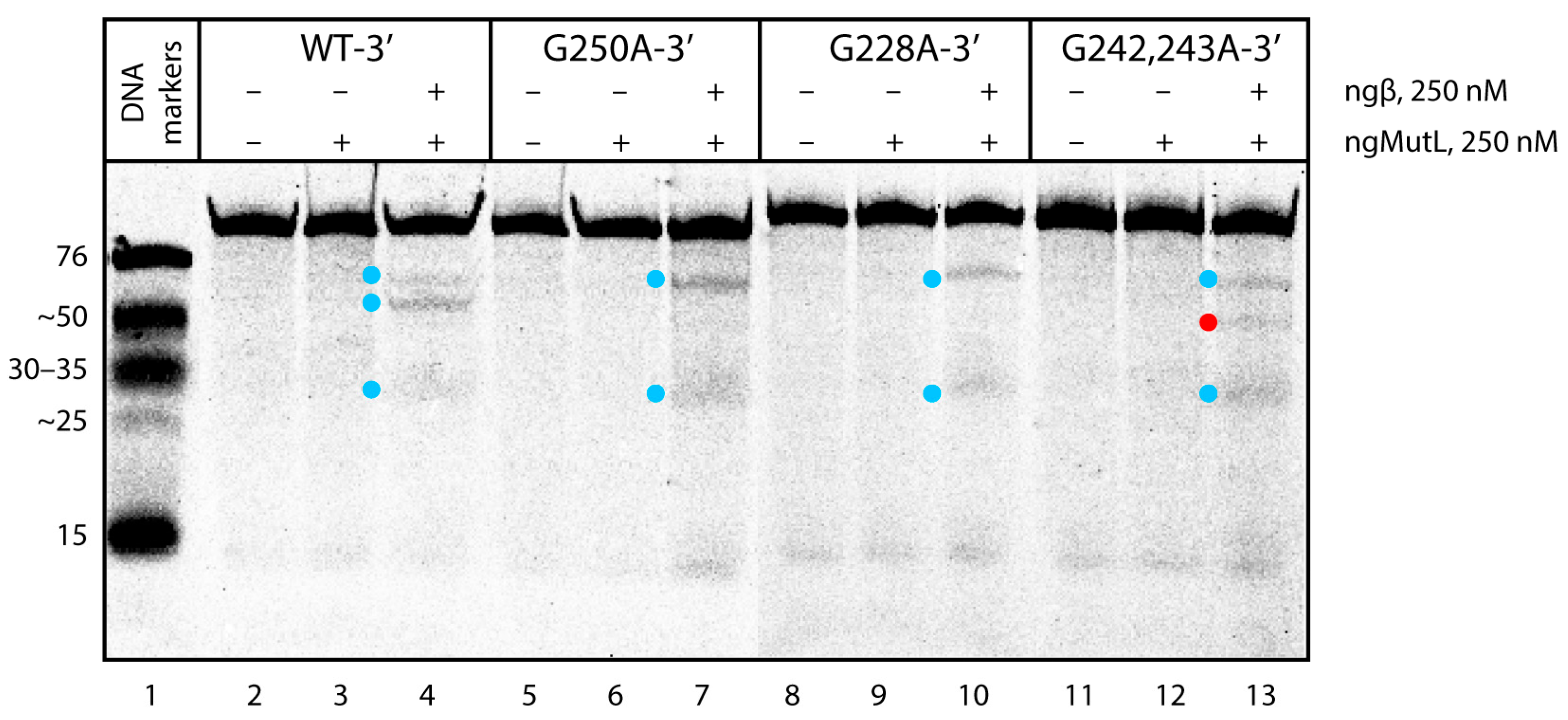 Biomedicines 10 01871 g009