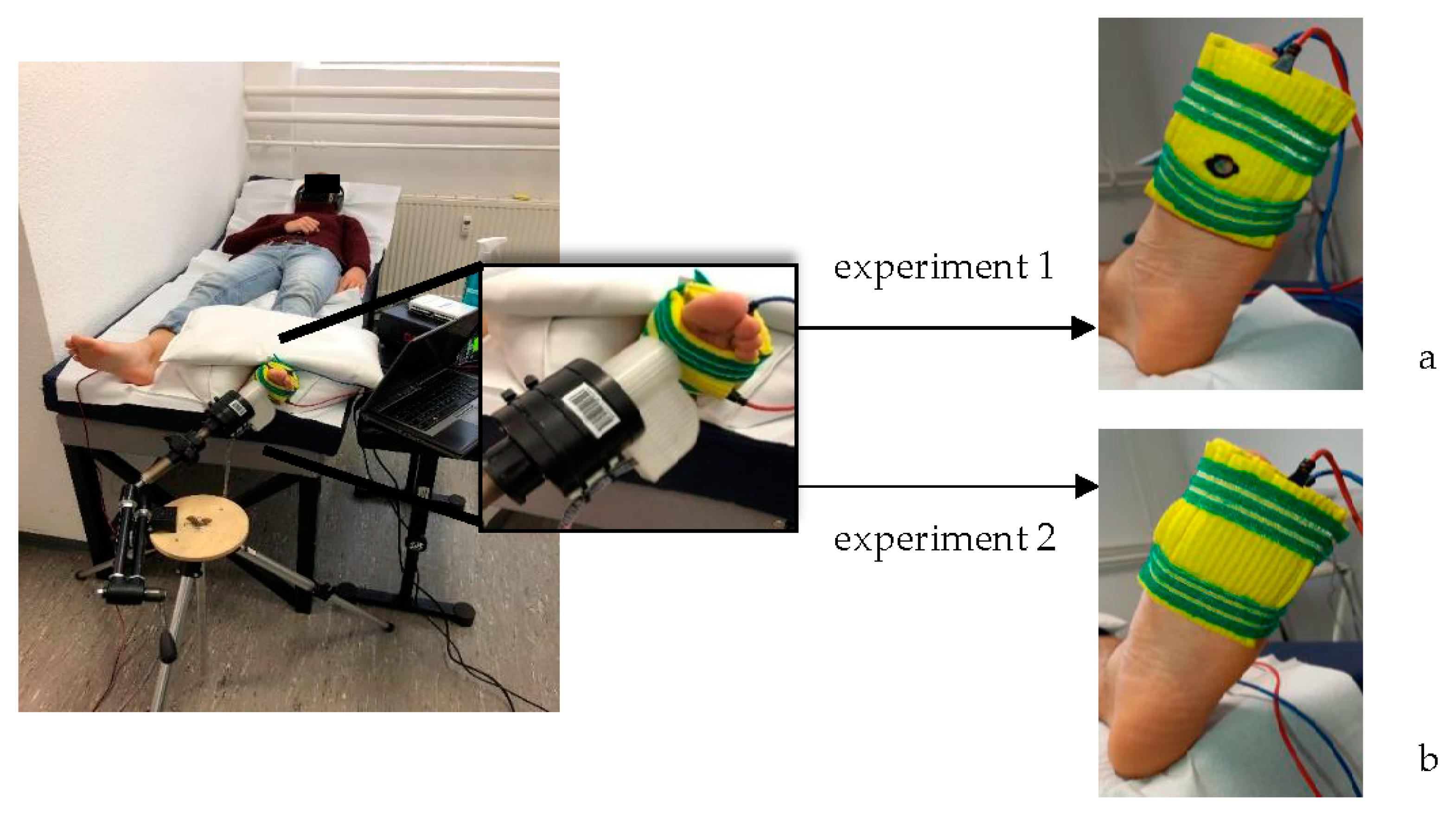 Biomedicines 10 01880 g001 Biomedicines 10 01880 g001