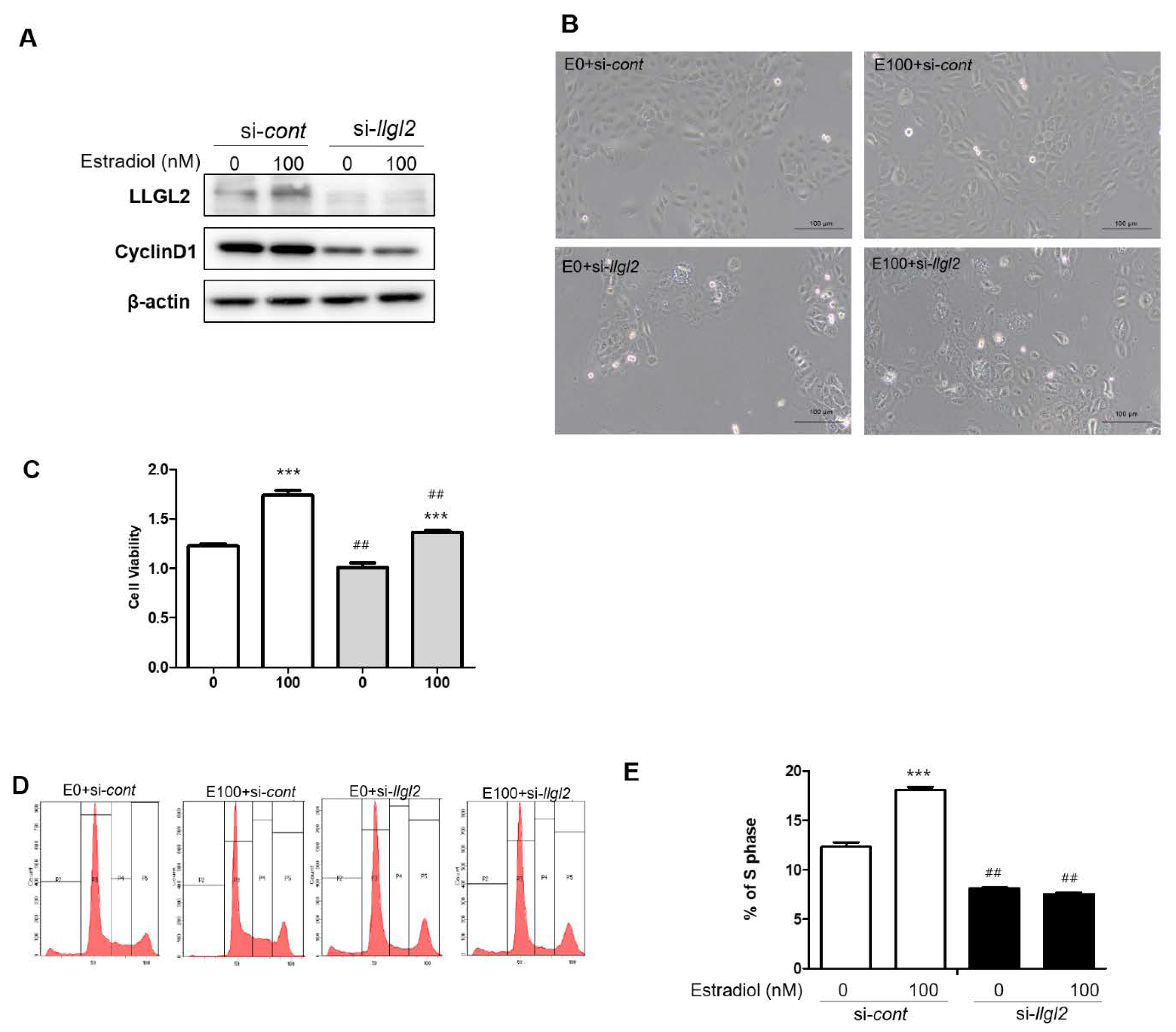 Biomedicines 10 01981 g003