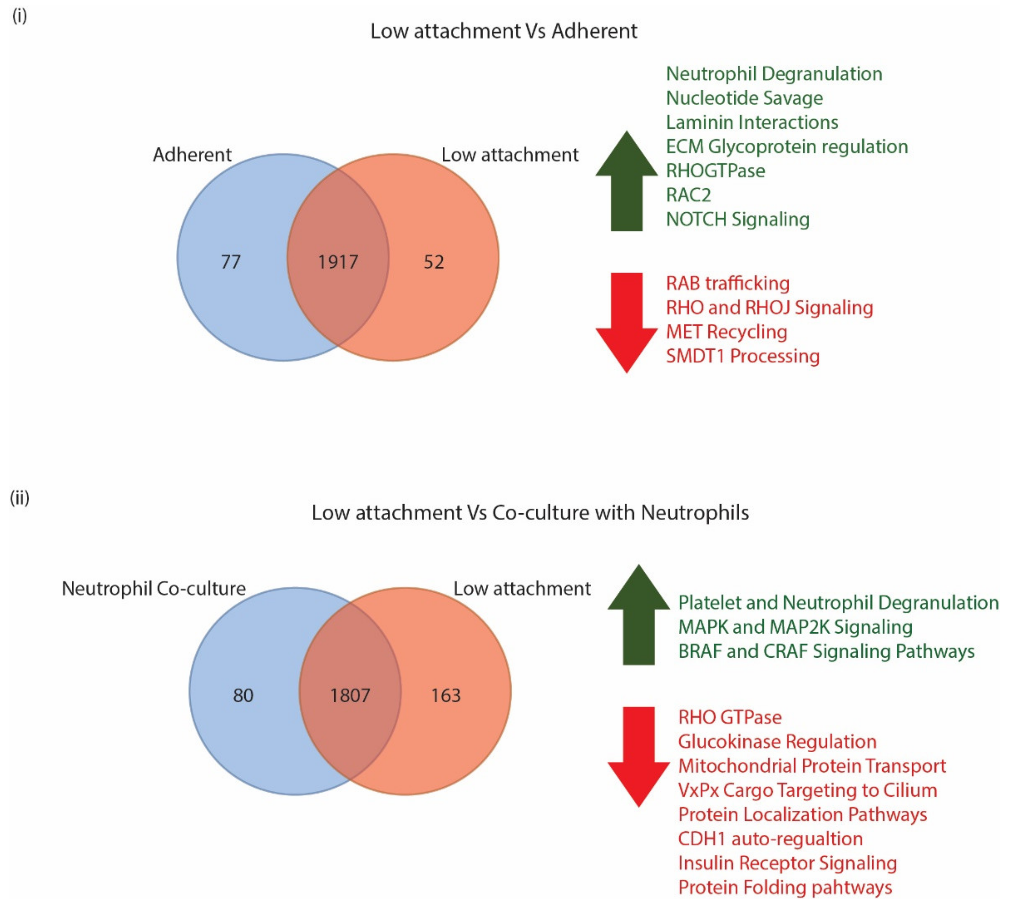 Biomedicines 10 01983 g002 Biomedicines 10 01983 g002