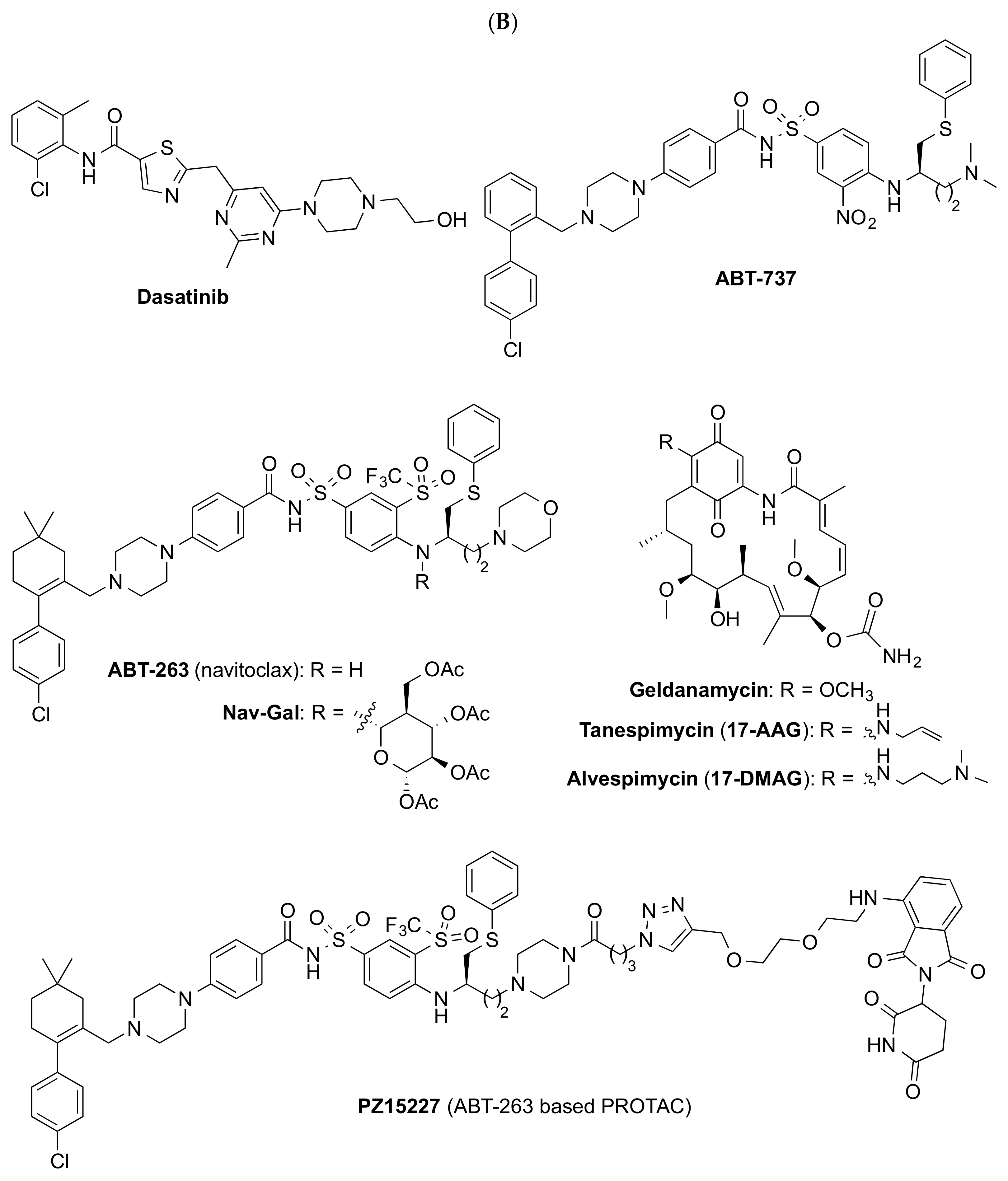 Biomedicines 10 02006 g002b