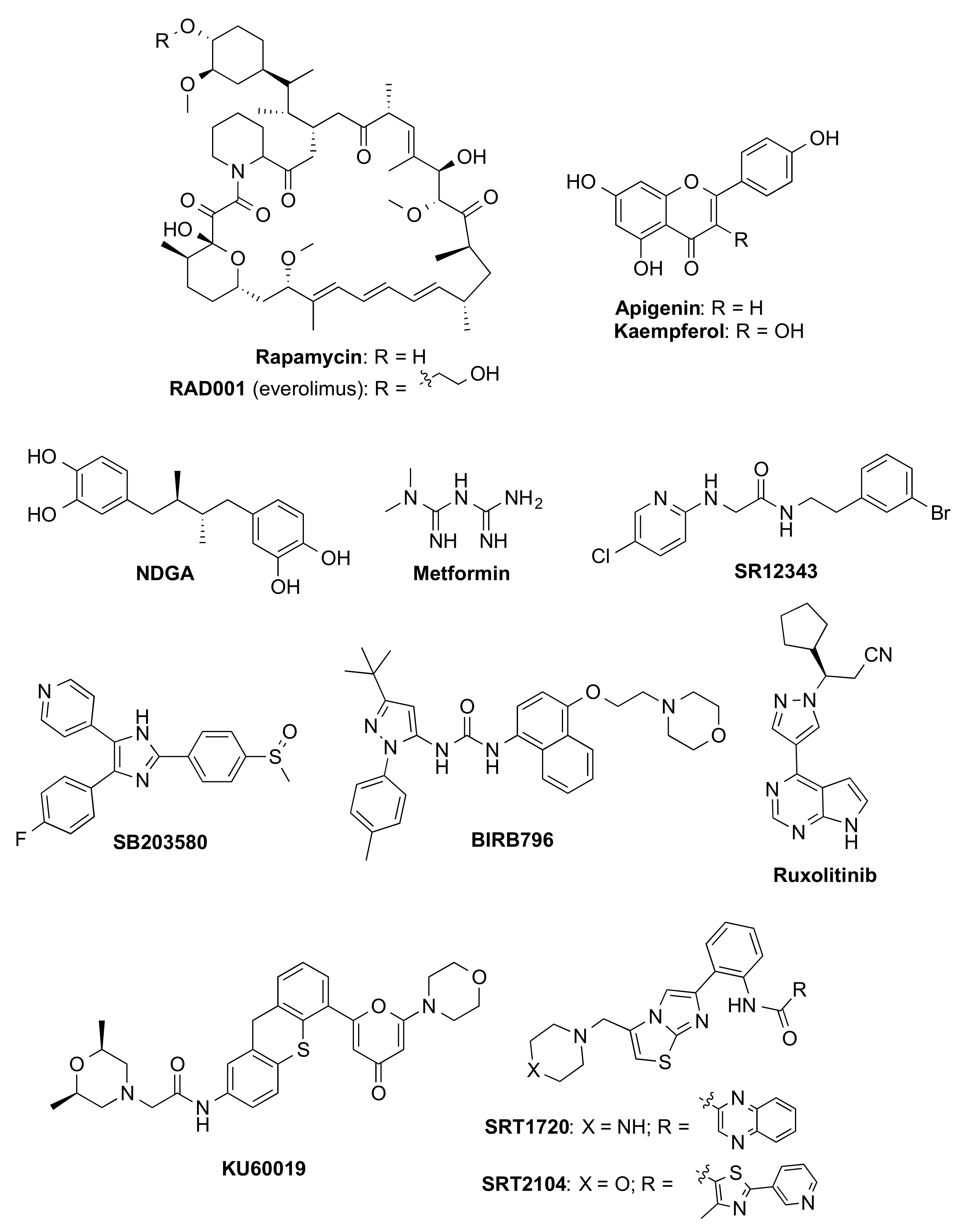 Biomedicines 10 02006 g003