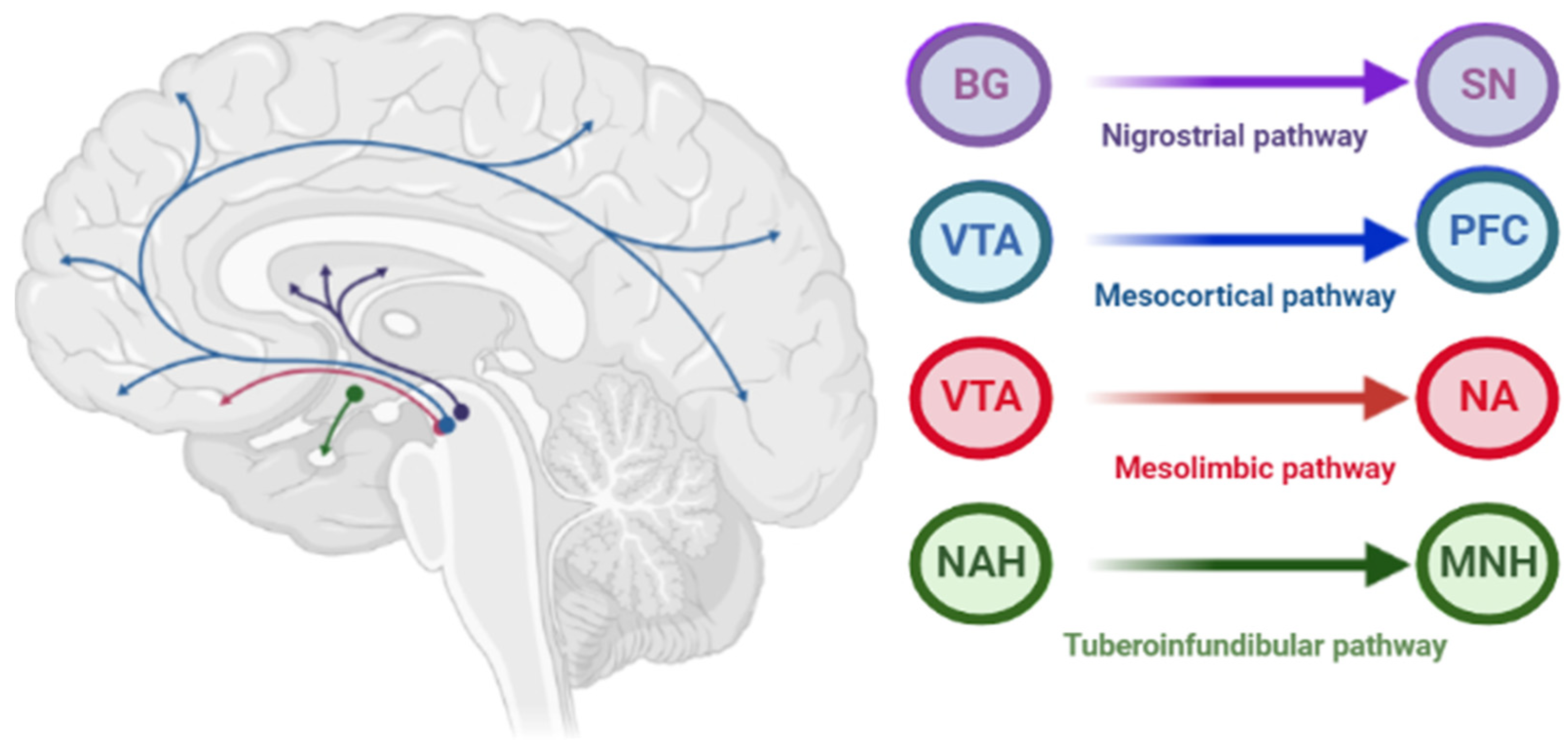 Biomedicines 10 02010 g002