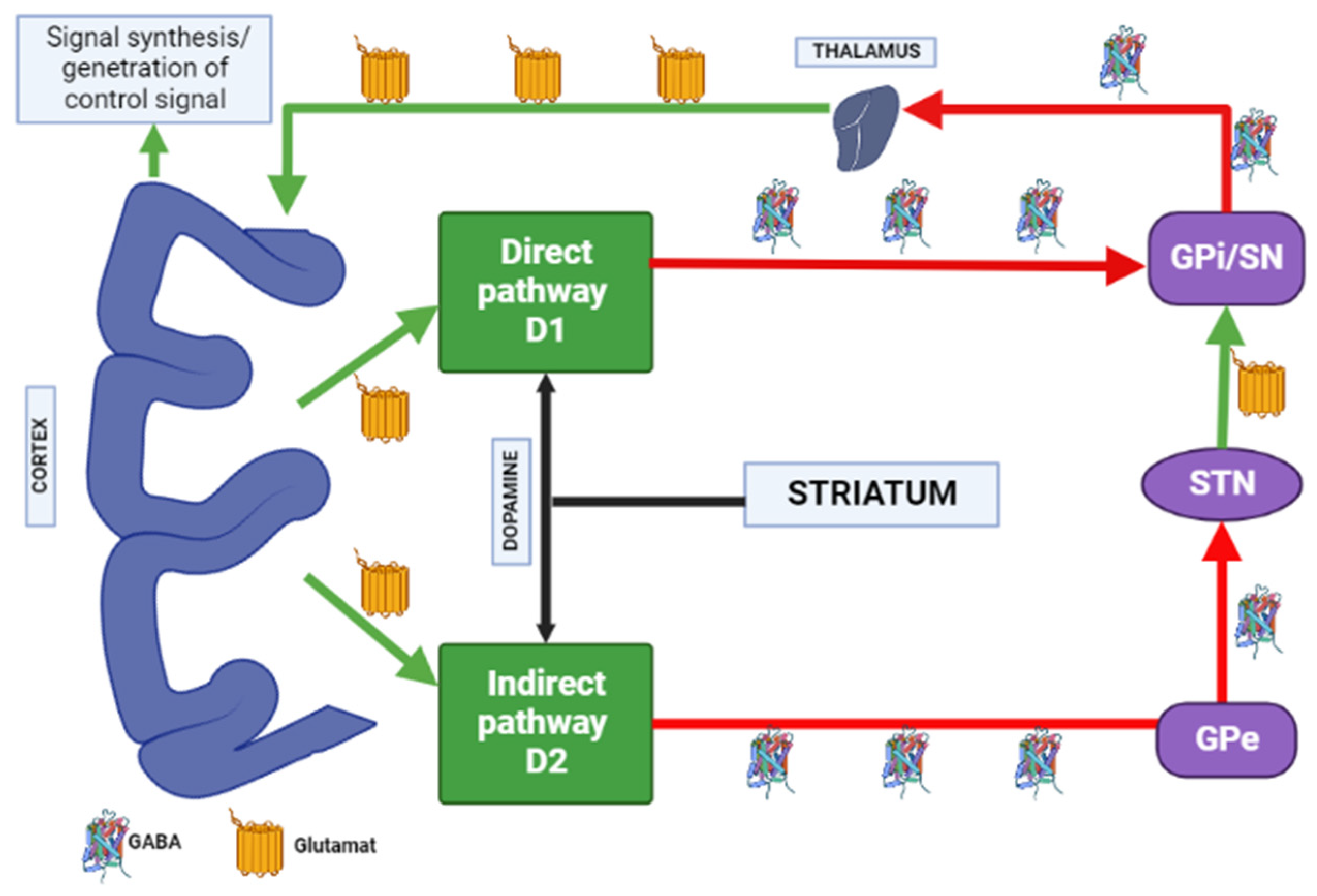 Biomedicines 10 02010 g004