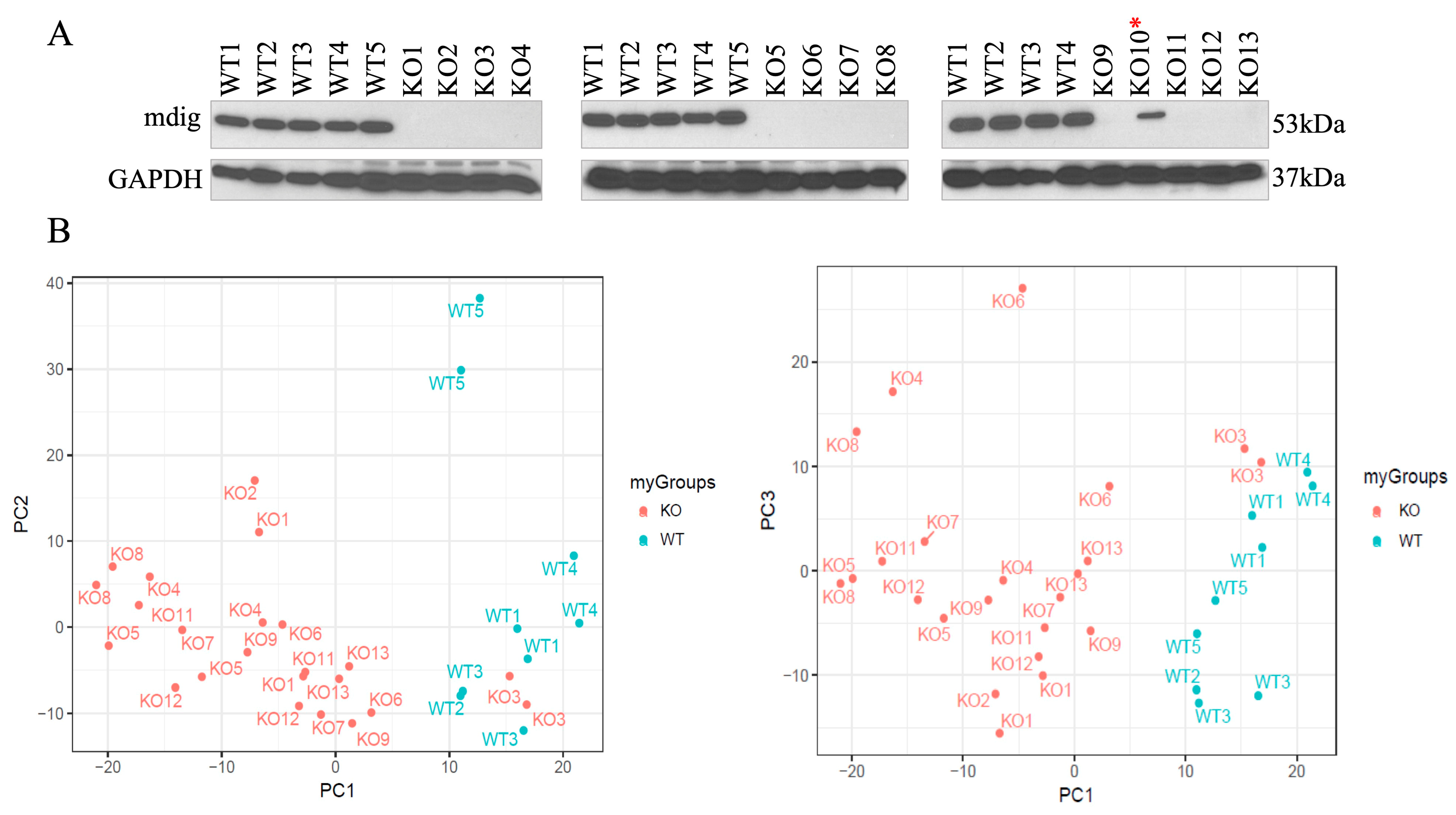 Biomedicines 10 02021 g001