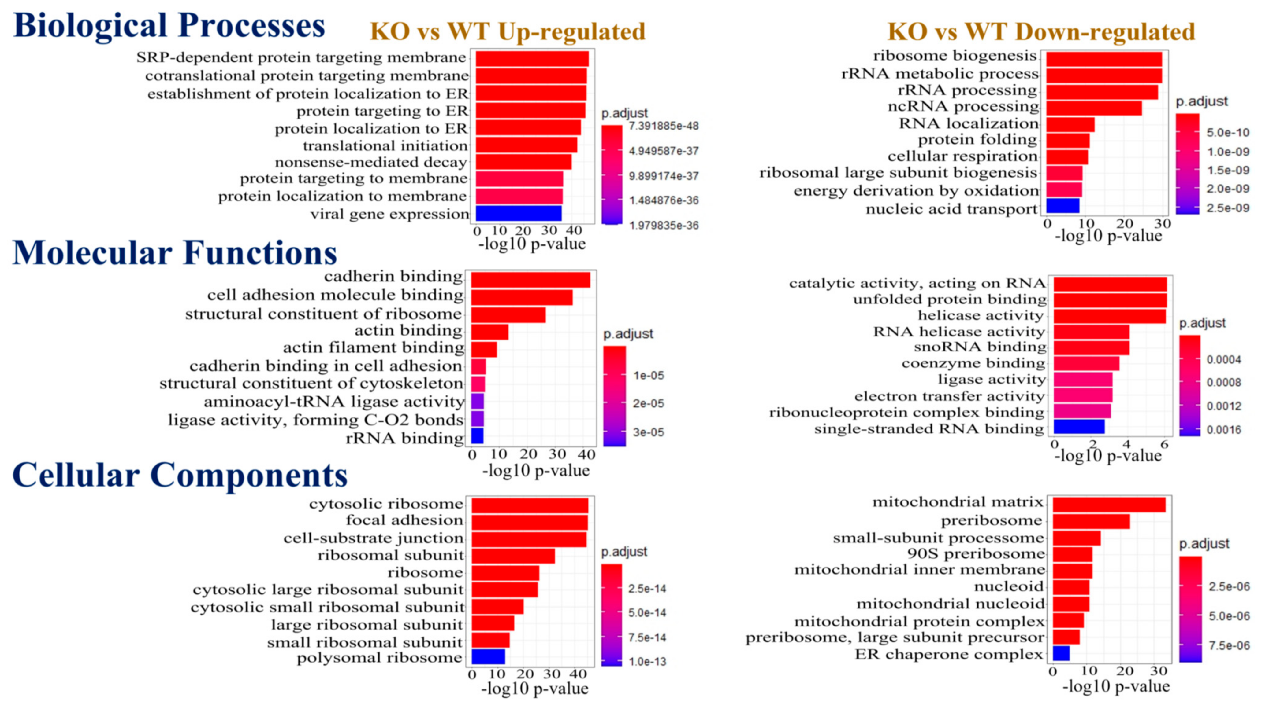 Biomedicines 10 02021 g002