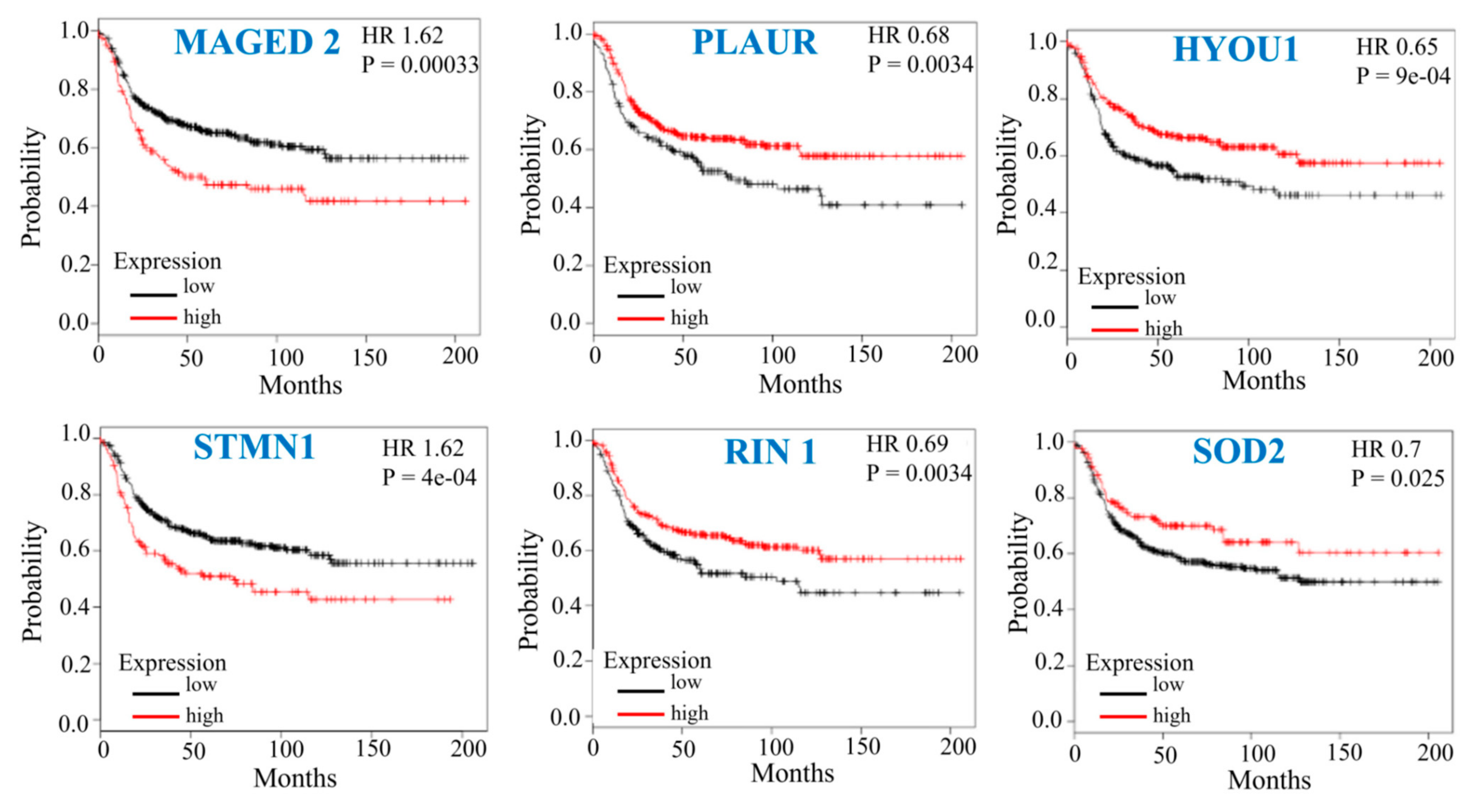 Biomedicines 10 02021 g006