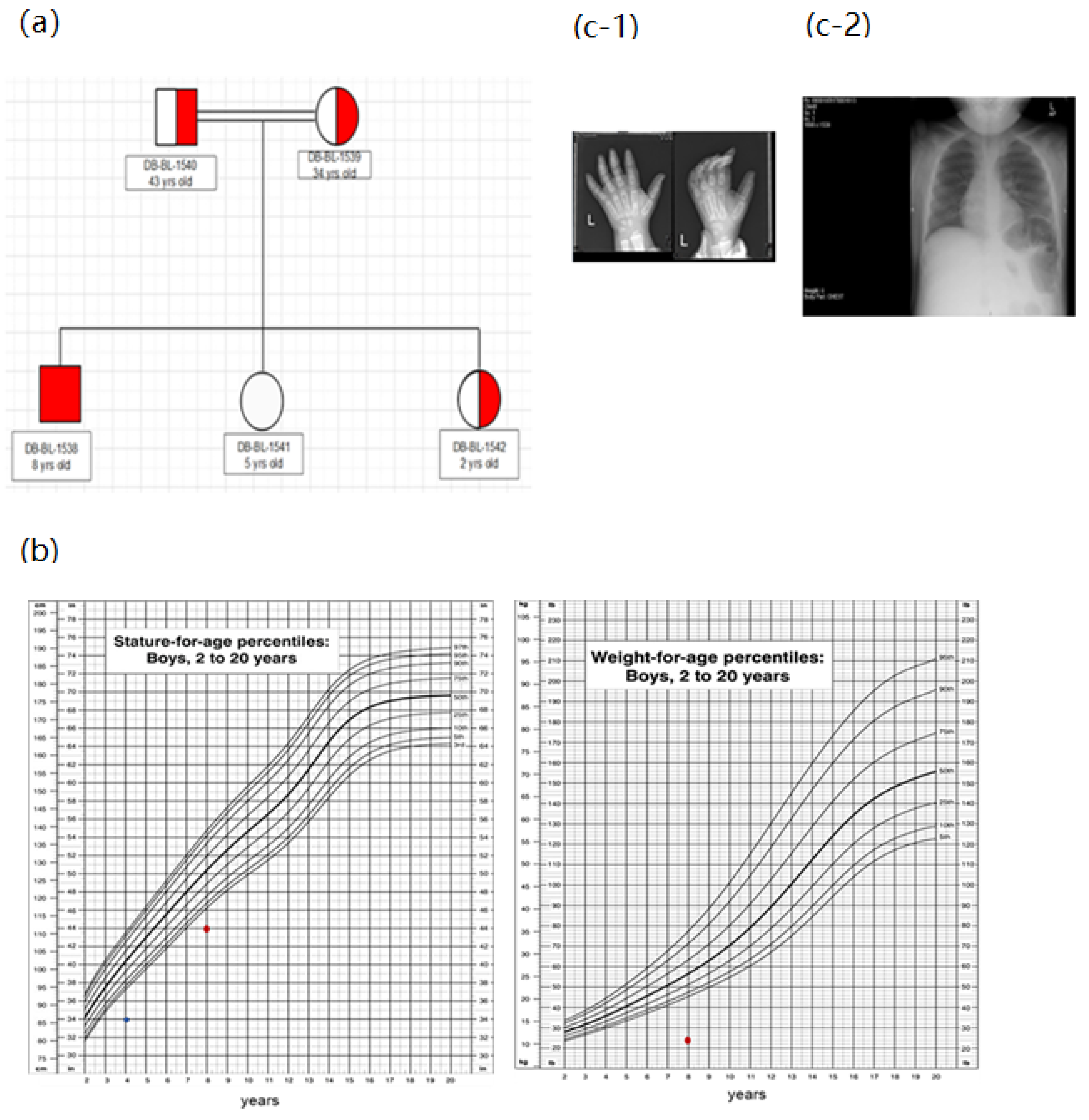 Biomedicines 10 02114 g003