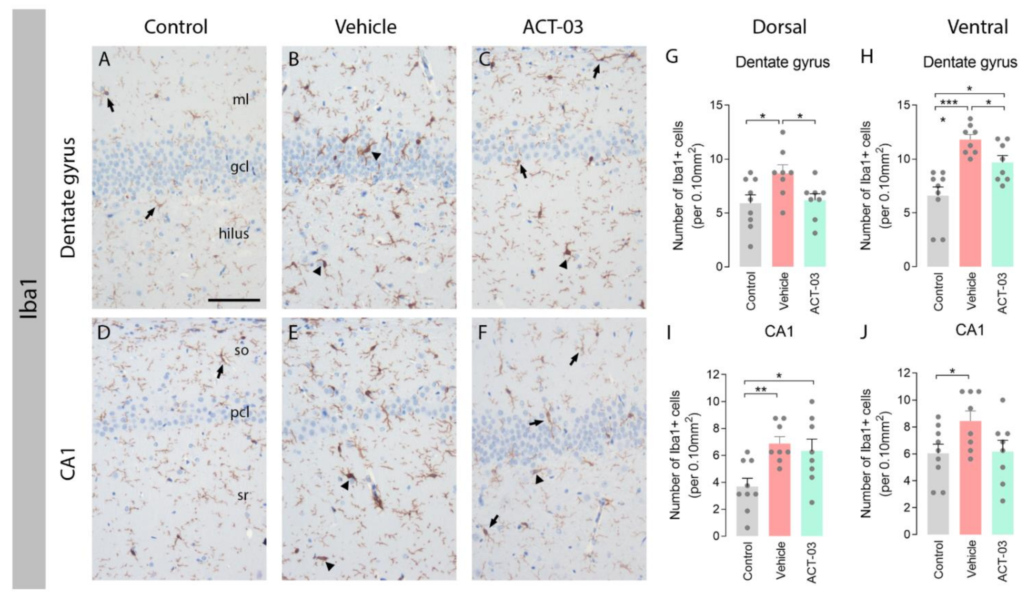 Biomedicines 10 02117 g003