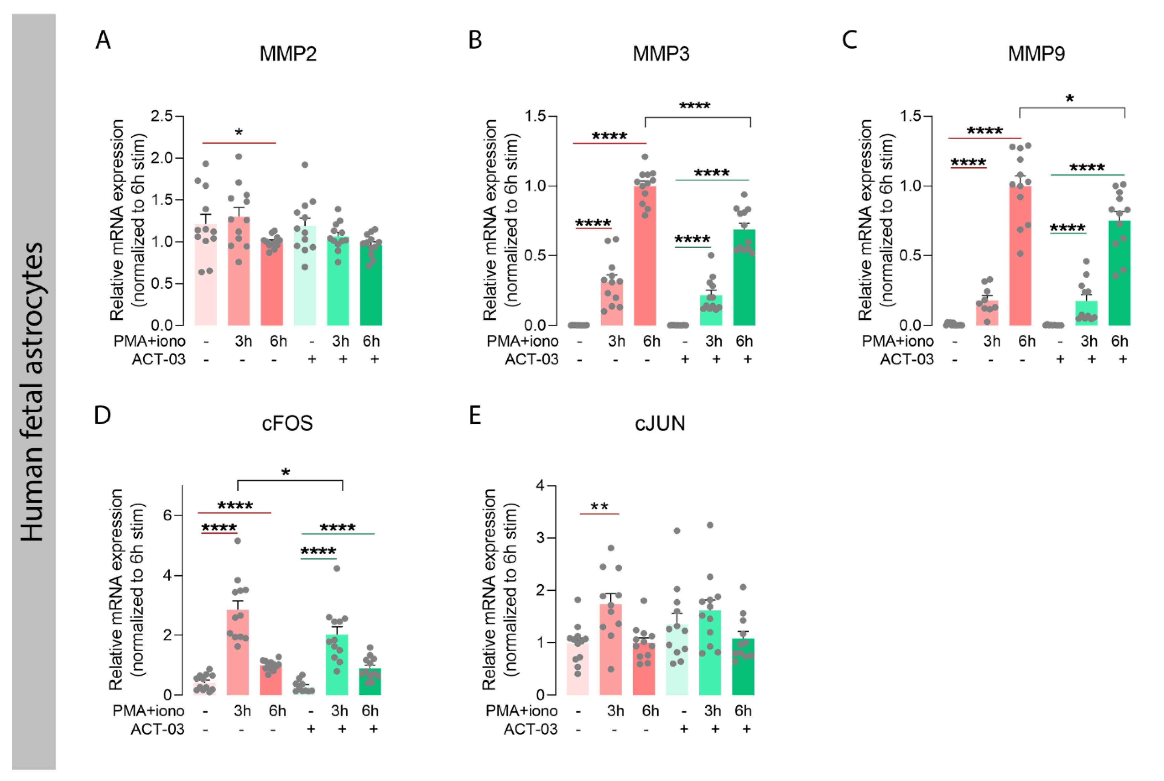 Biomedicines 10 02117 g006