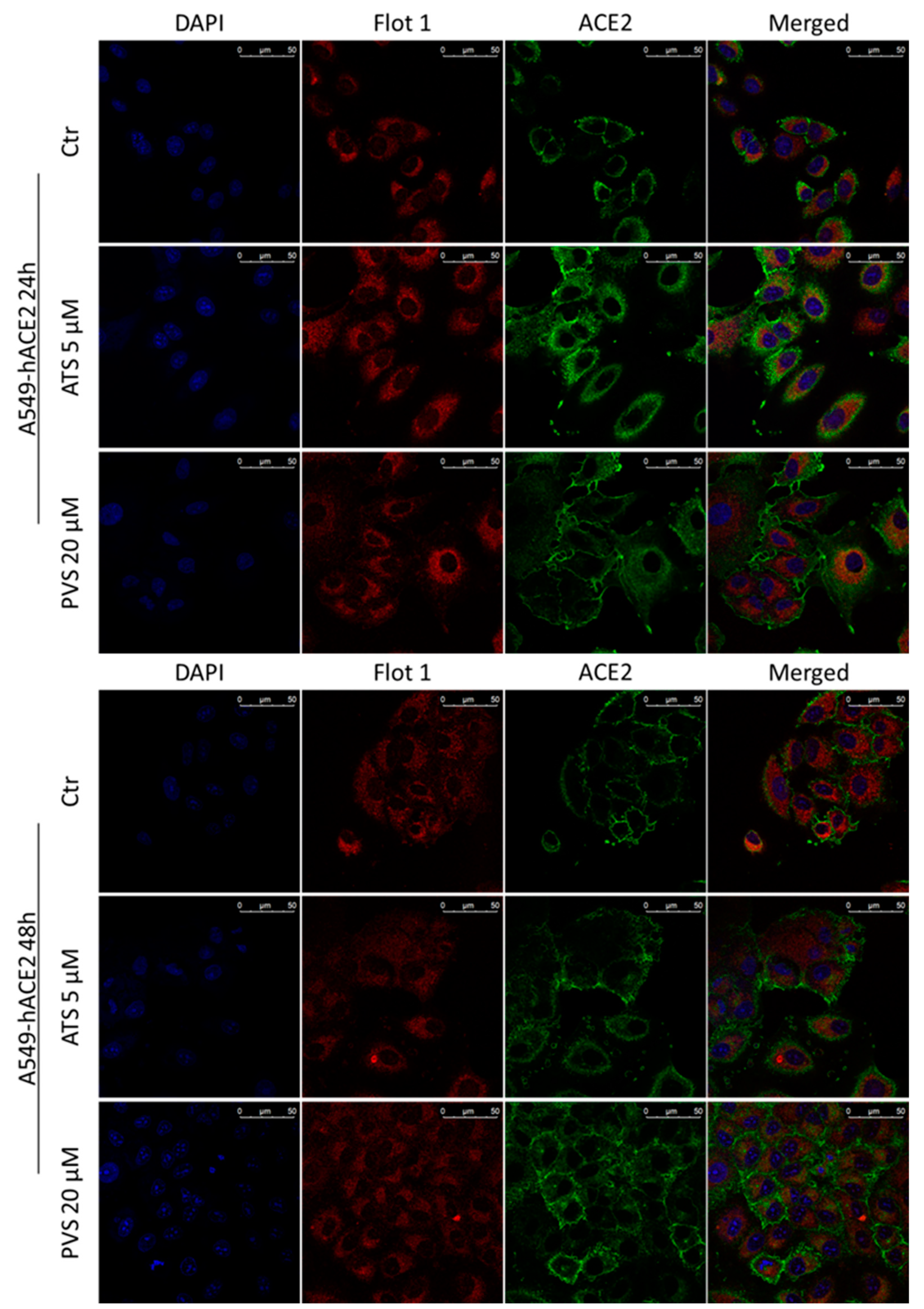 Biomedicines 10 02123 g006