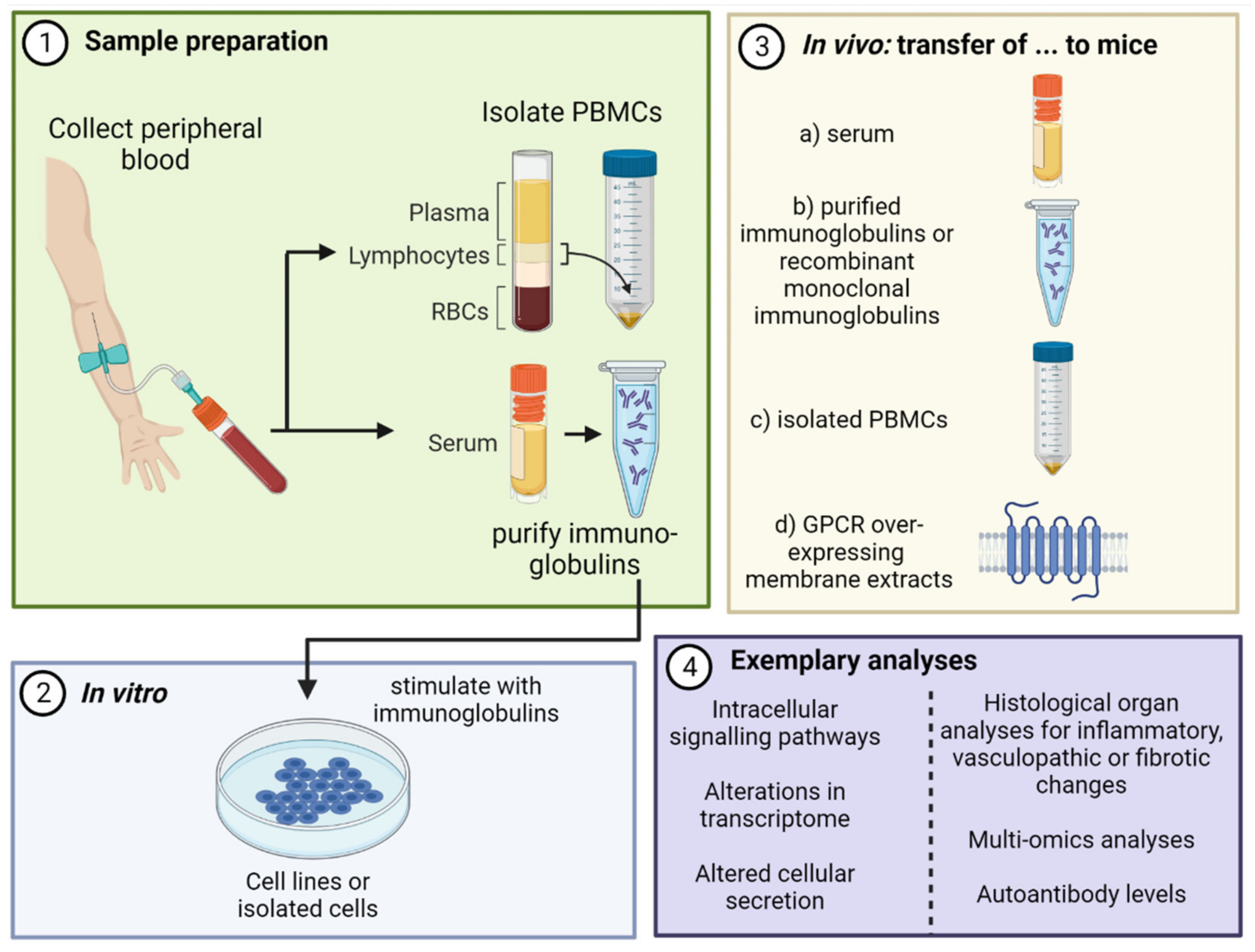 Biomedicines 10 02150 g002 Biomedicines 10 02150 g002