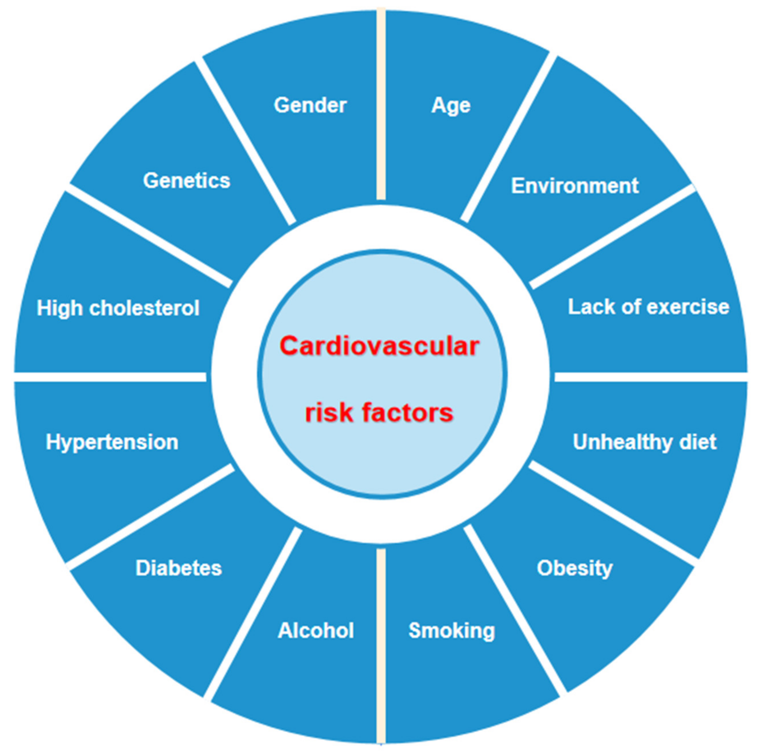 2- and 3-Dimensional Myocardial Strain in Cardiac Health and Disease -  ScienceDirect