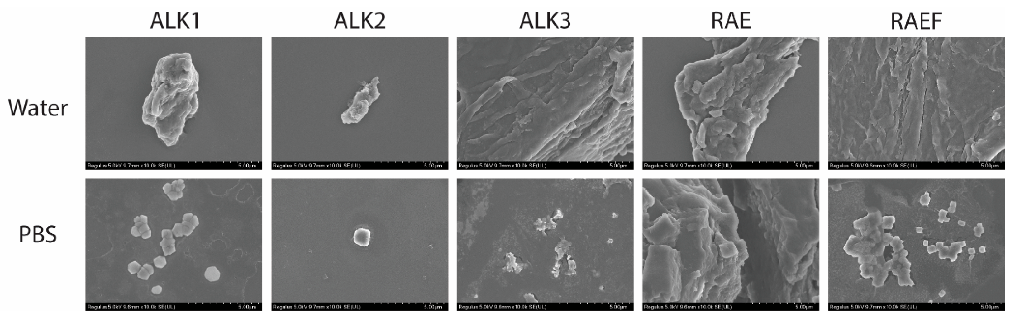 Biomedicines 10 02164 g001