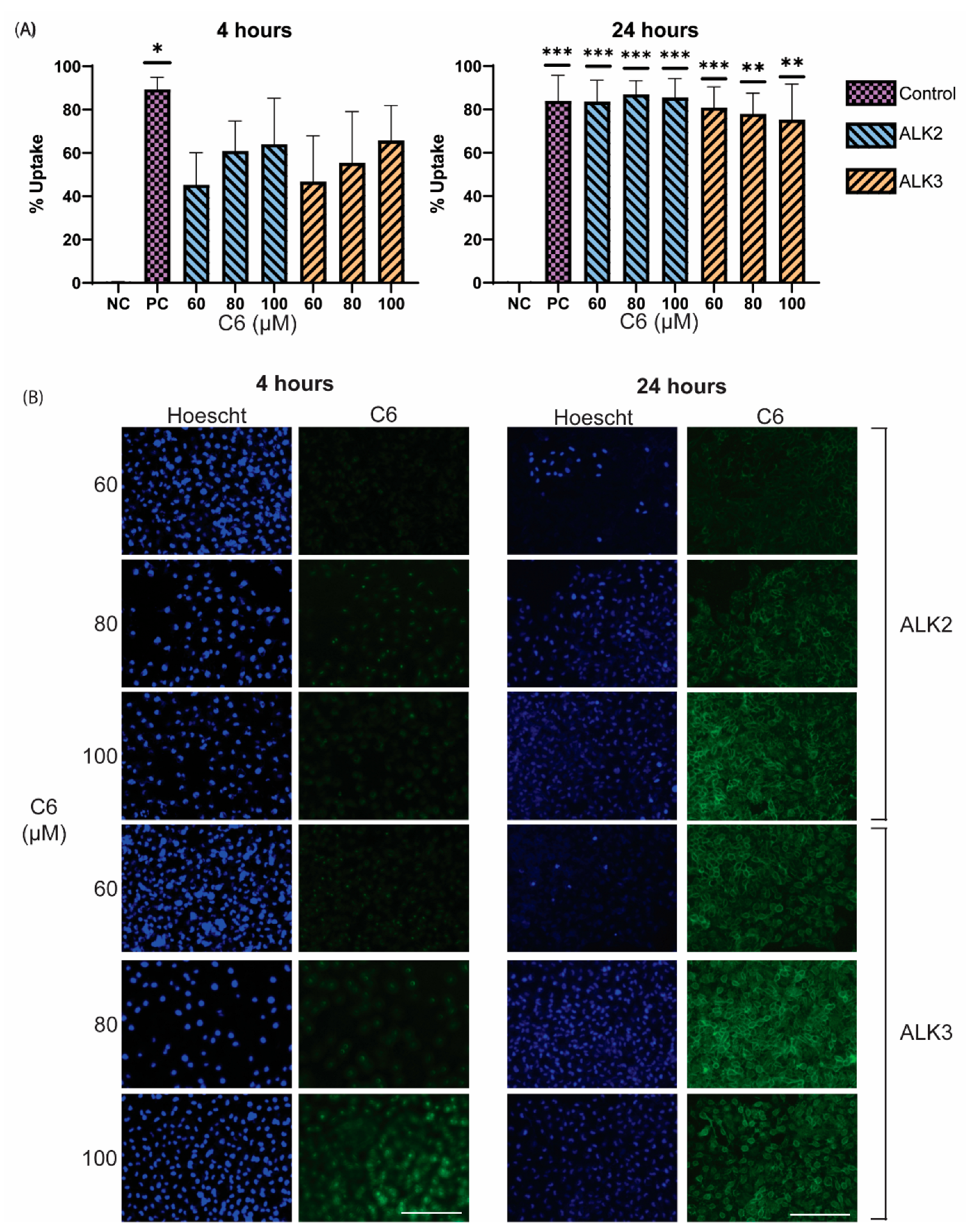 Biomedicines 10 02164 g010