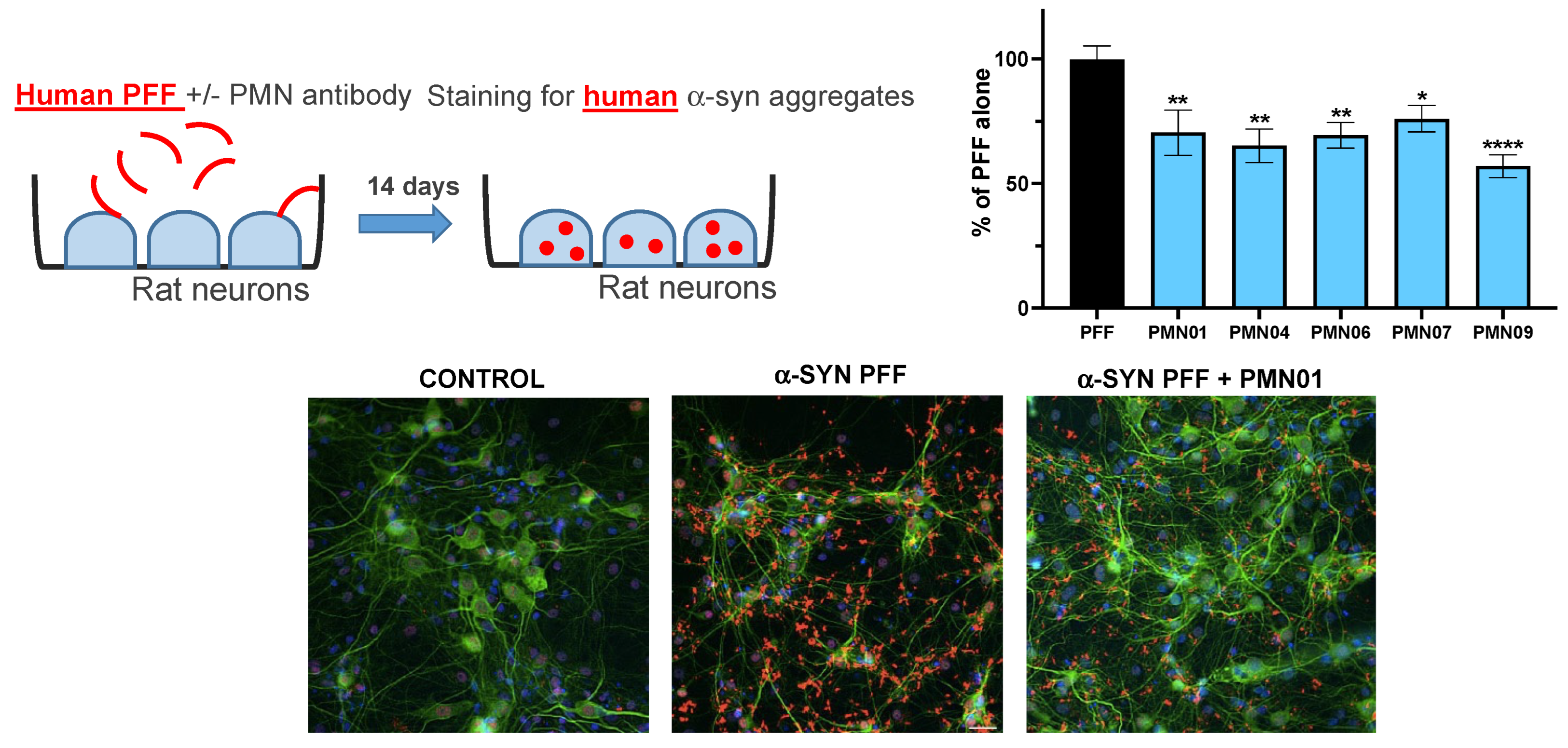 Biomedicines 10 02168 g010