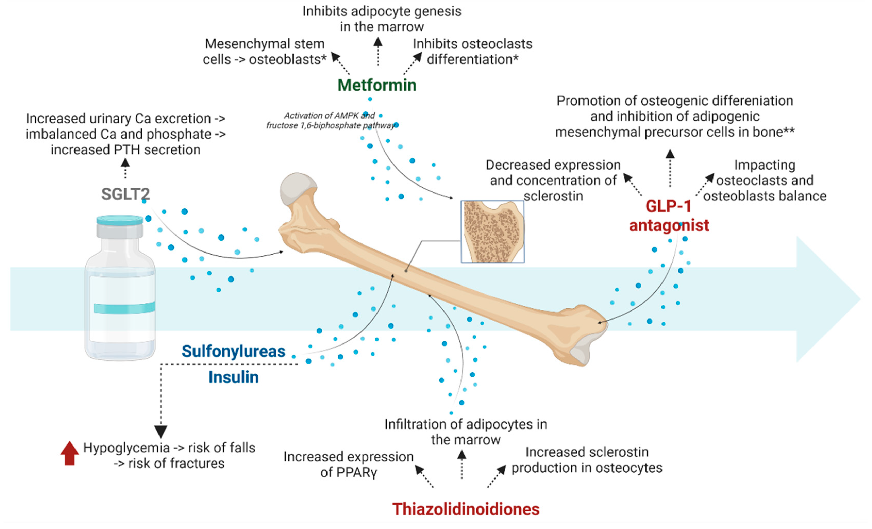 https://www.mdpi.com/biomedicines/biomedicines-10-02191/article_deploy/html/images/biomedicines-10-02191-g001.png