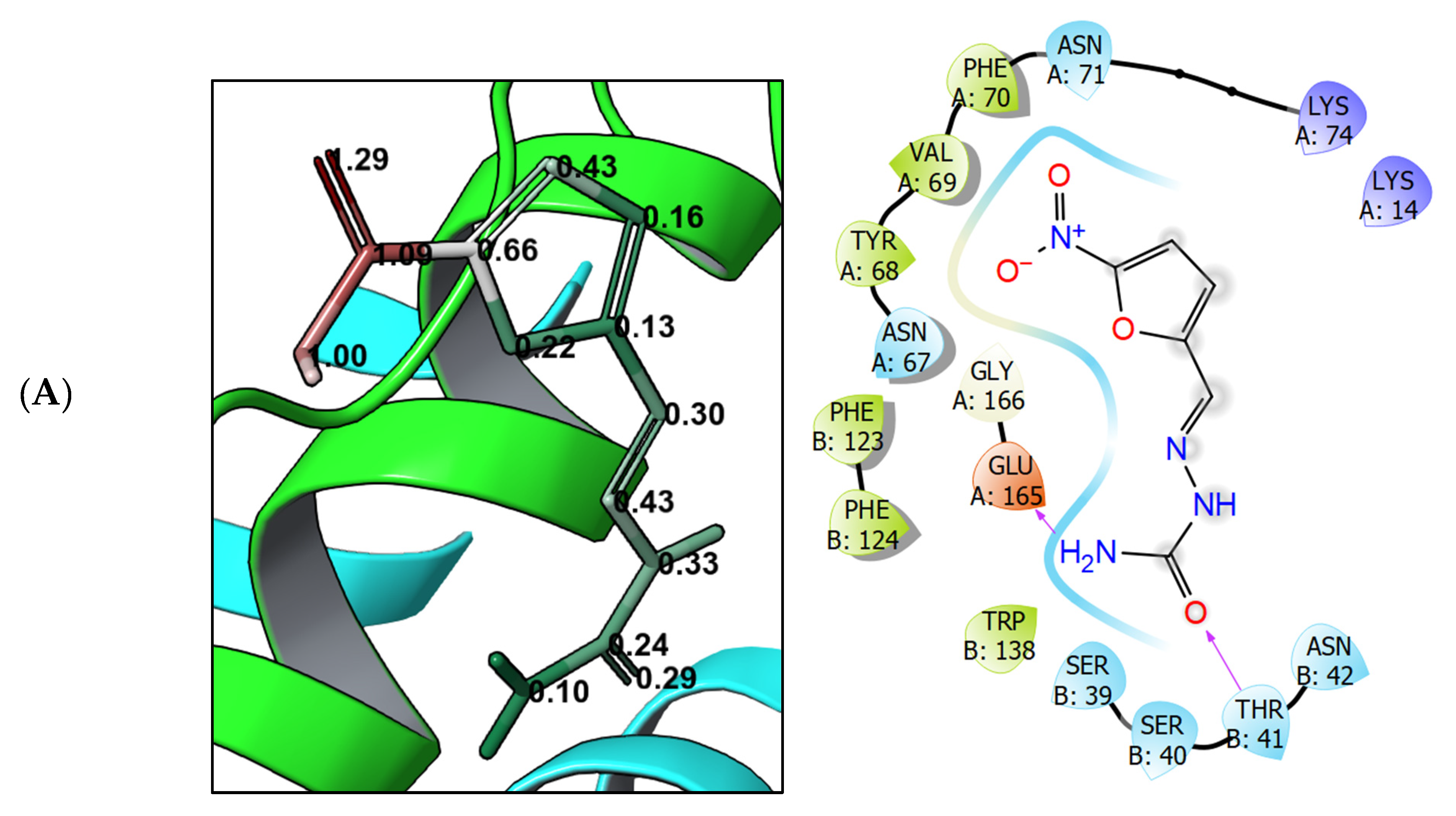 Biomedicines 10 02203 g003a